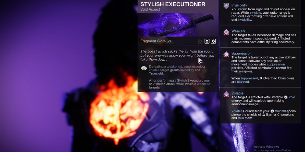 Stylish Executioner, Destiny 2, Best Void Aspects