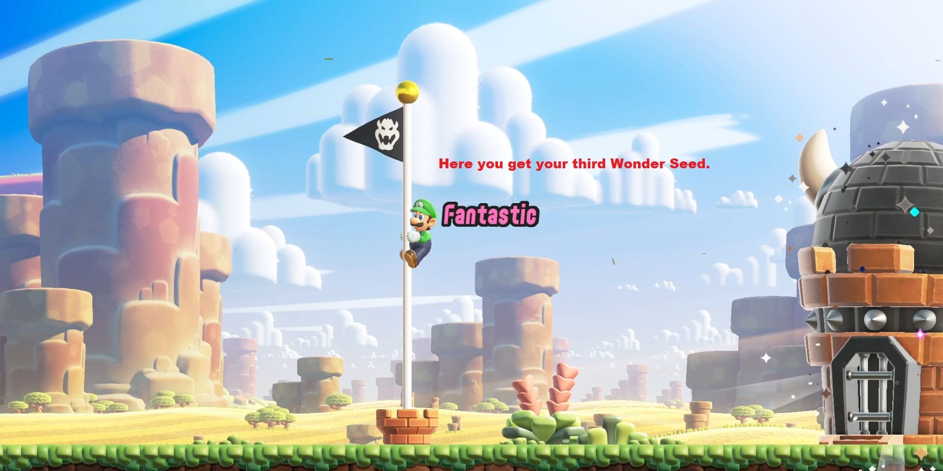 Super Mario Bros Wonder Bulrush Coming Through Wonder Seeds 9