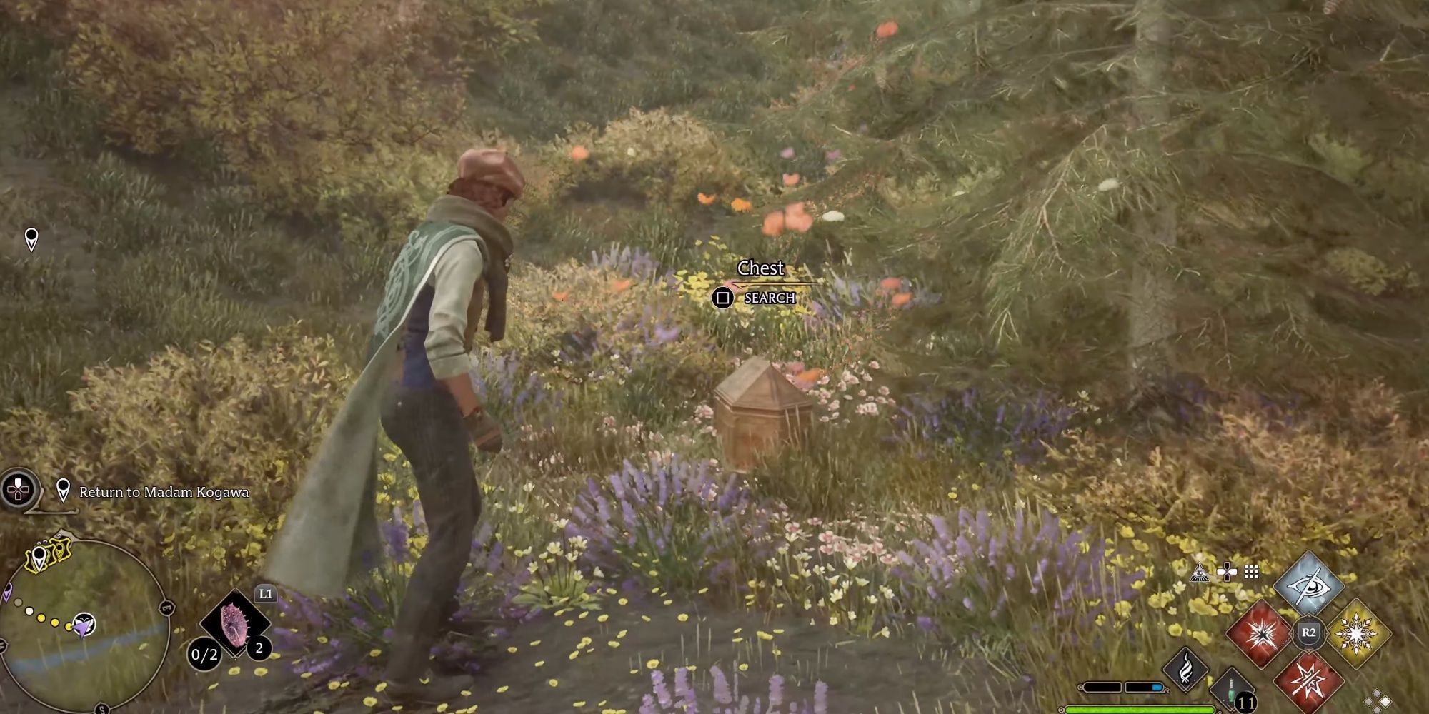 Player's character casting revelio to find a hidden chest surrounded by butterflies