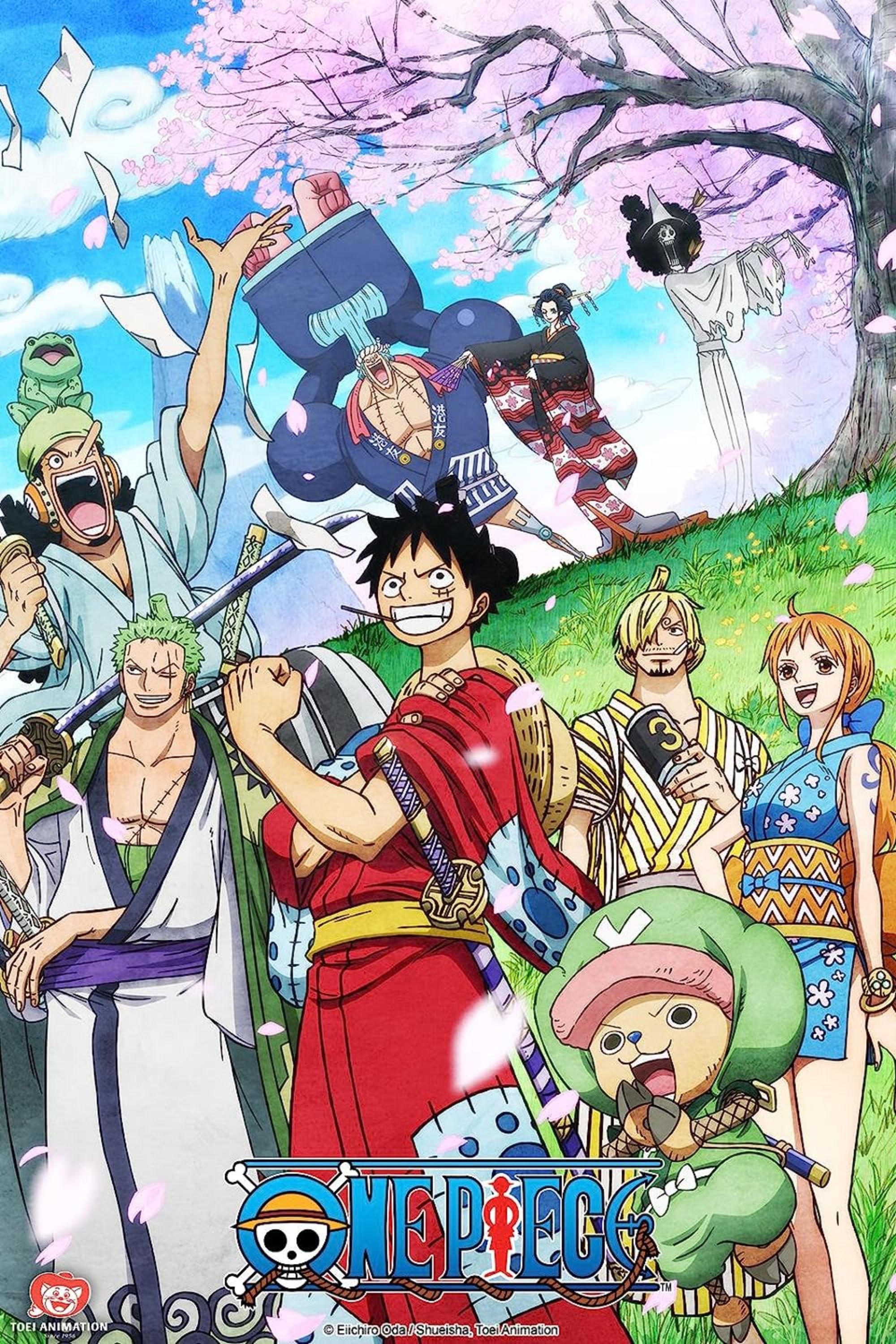 one piece tag image