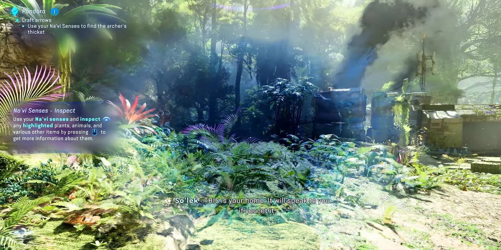 The Player Using Their Na'vi Sense