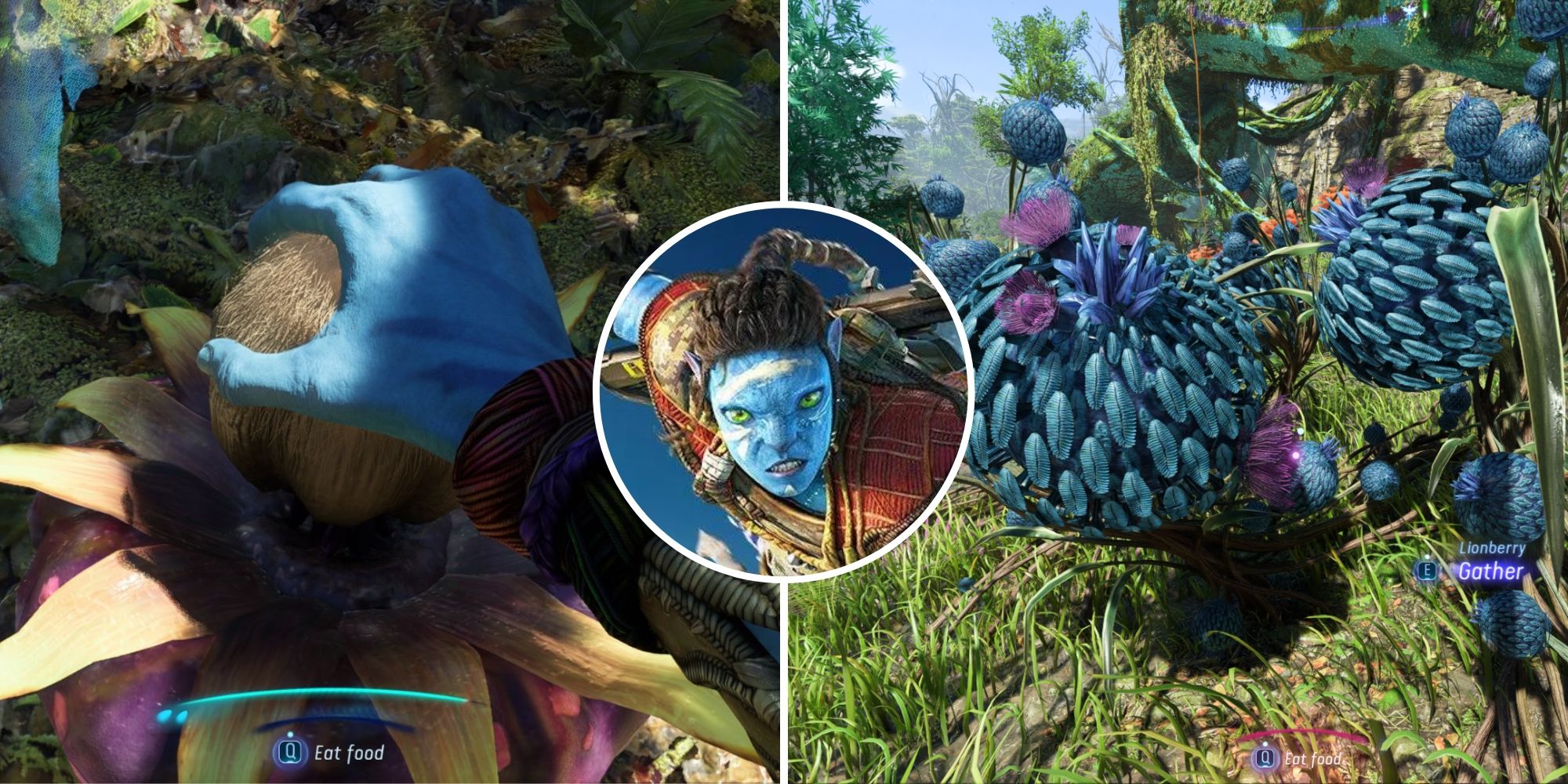 Kinglor Cocoon Fiber Locations - Avatar: Frontiers of Pandora