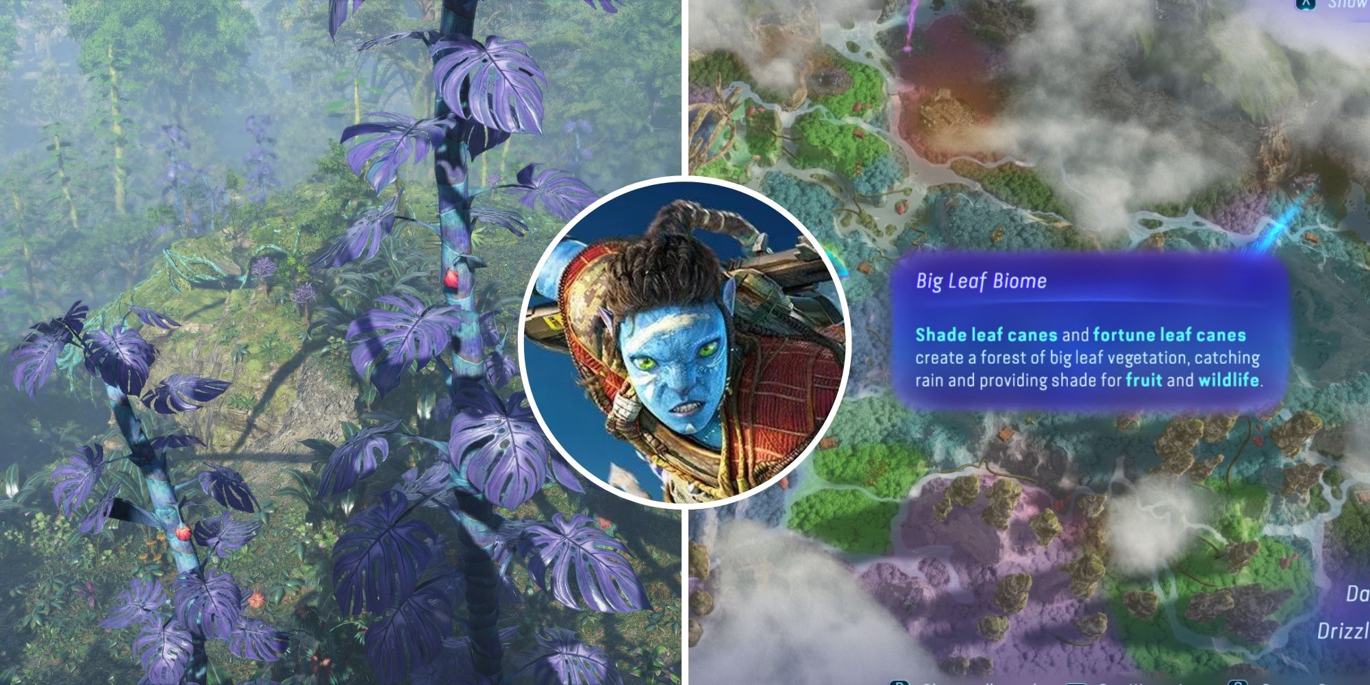 Avatar Frontiers Of Pandora - Where To Find Fortune’s Fruit Feature Image