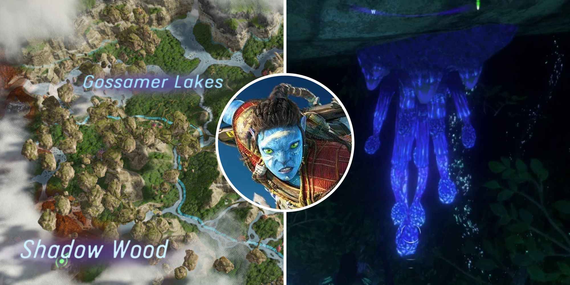 Avatar Frontiers Of Pandora - Where To Find vineshroom Feature Image