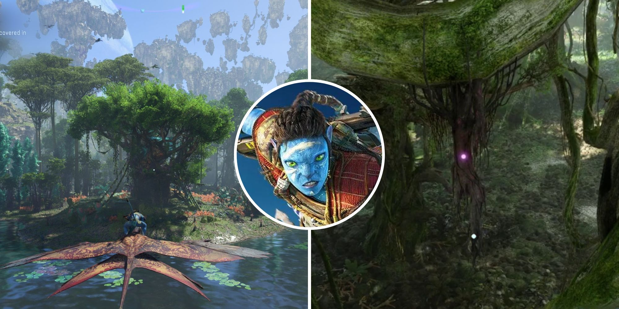 Avatar_ Frontiers Of Pandora - Where To Get Canopy Roots Feature Image