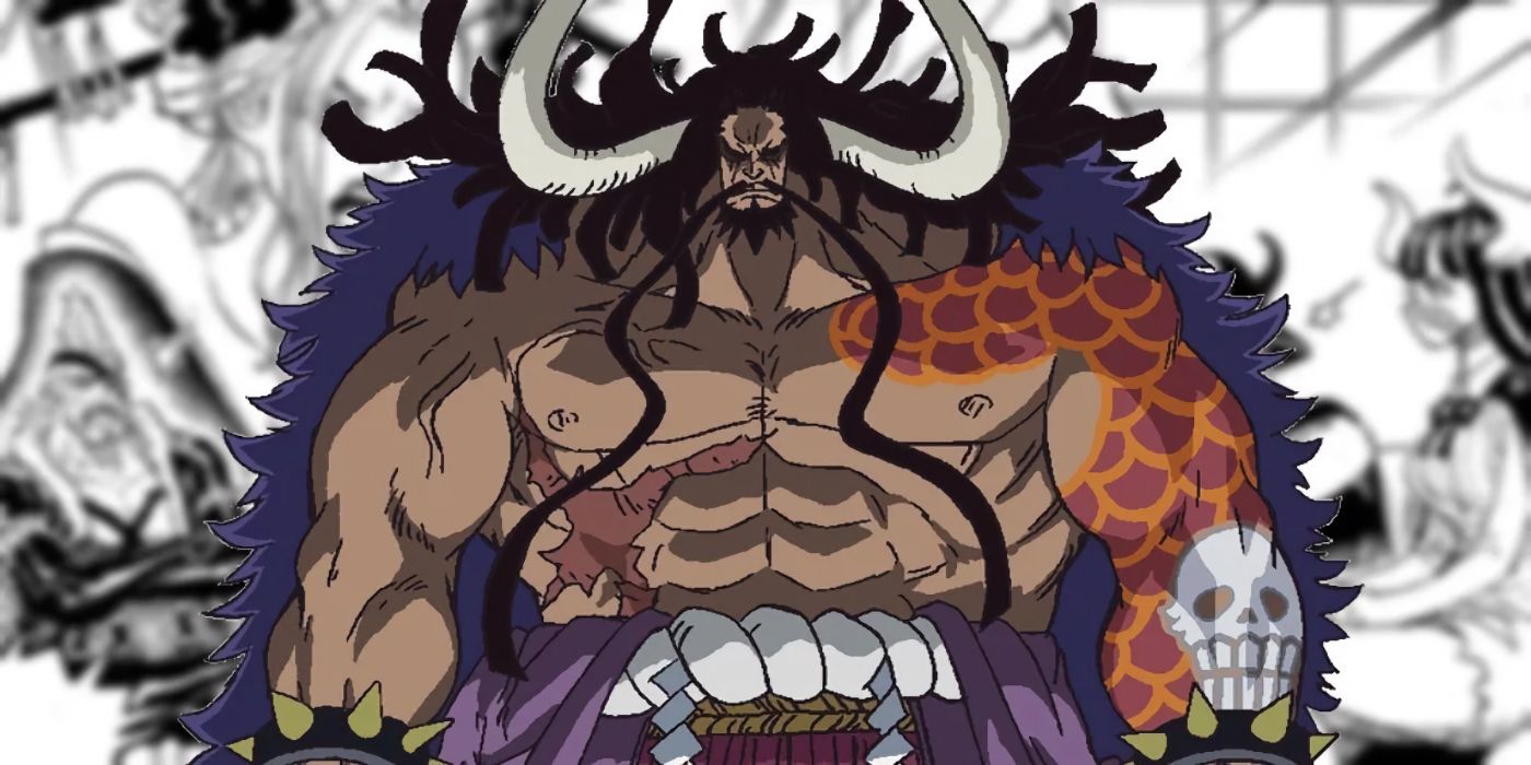 One Piece: 15 Highest Bounties In the Entire Series