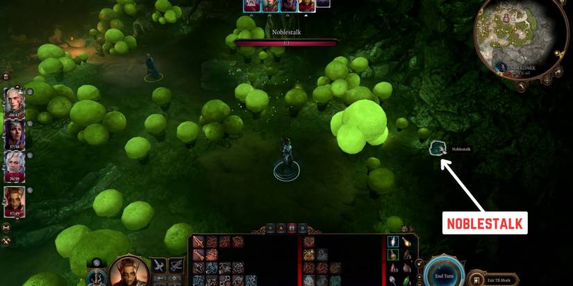 Baldur's Gate 3: How To Get & Use Noblestalk