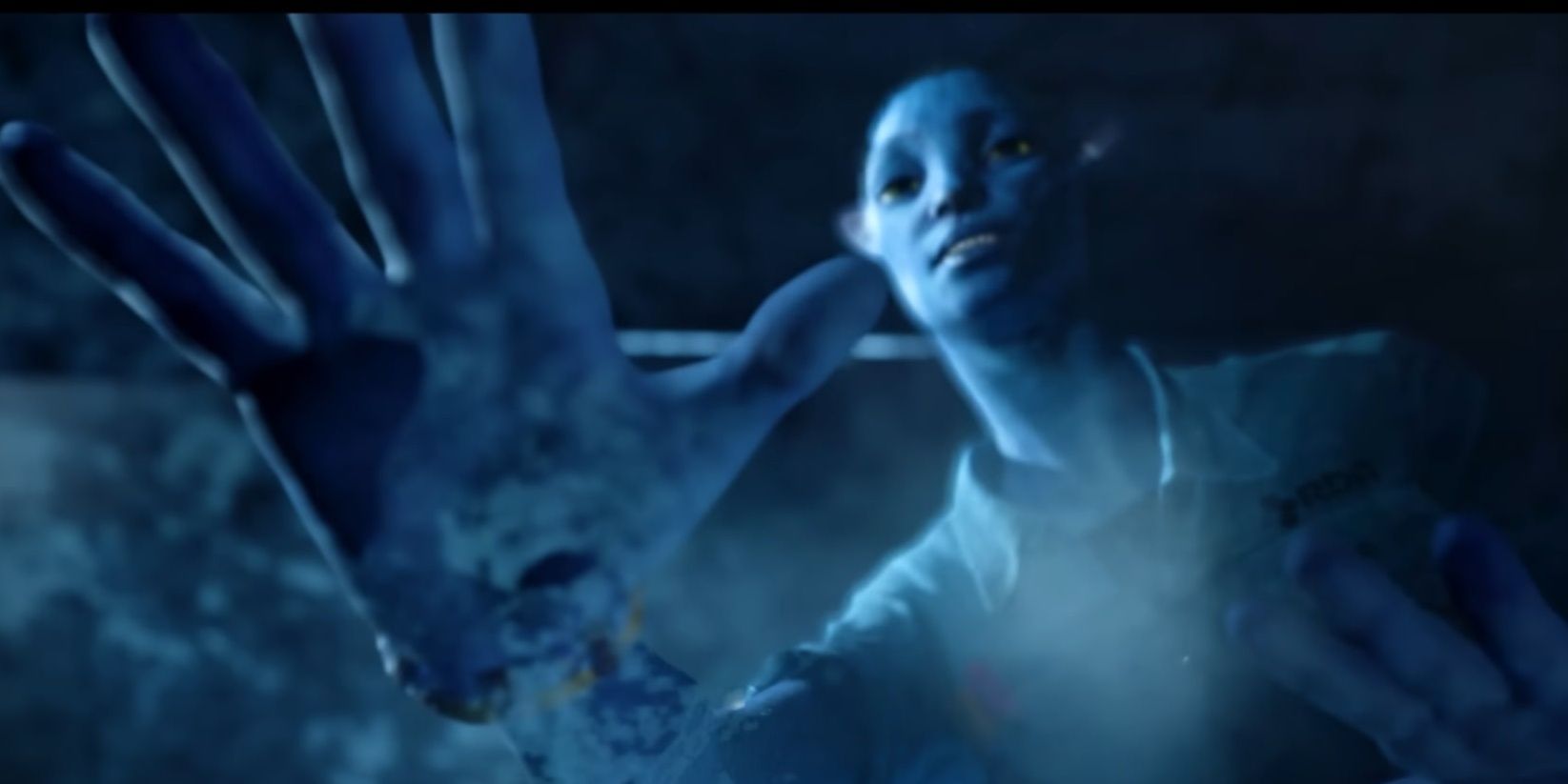 Your Na'vi character says goodbye in Avatar: Frontiers of Pandora