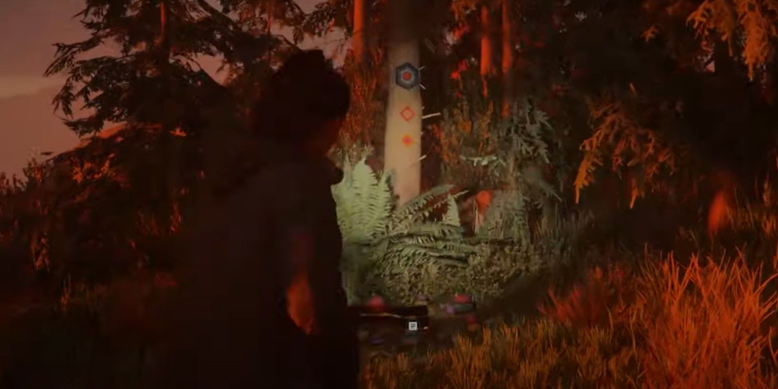 The Alan Wake 2 character found a lunch box to the left of the Valhalla Nursing Home.