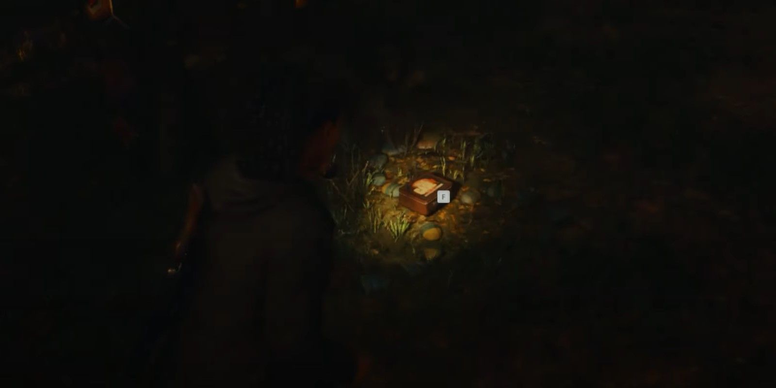 The Alan Wake 2 character found a lunch box in the Biltmore Ave Park in the shadows next to a tree.