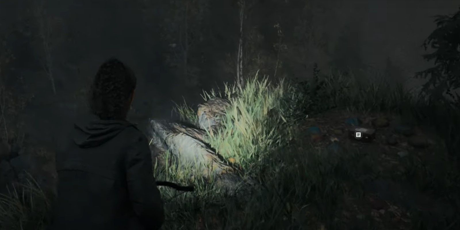 Alan wake 2 уотери