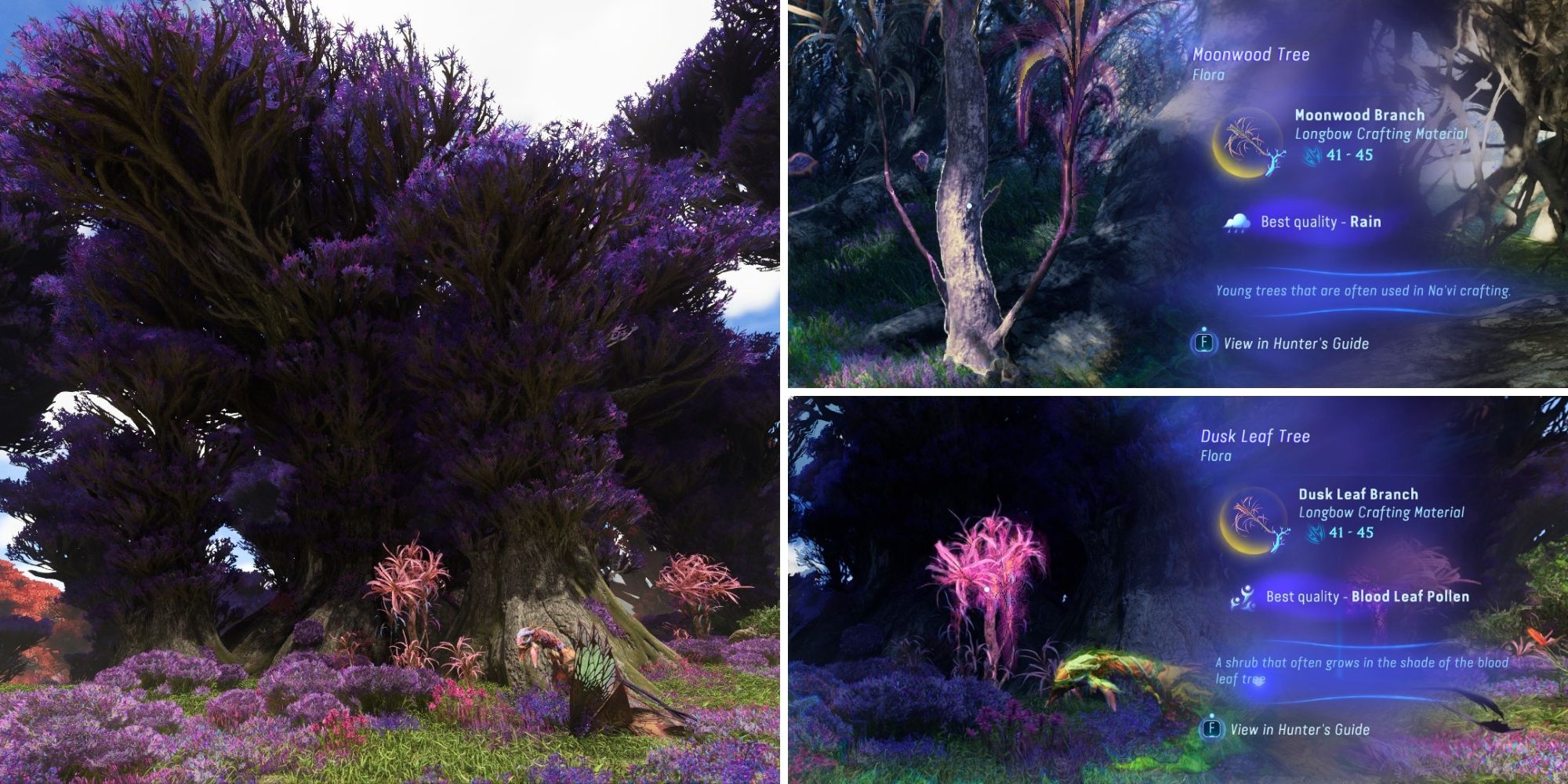 Avatar Frontiers Of Pandora - Where To Find Exquisite Branches feature image