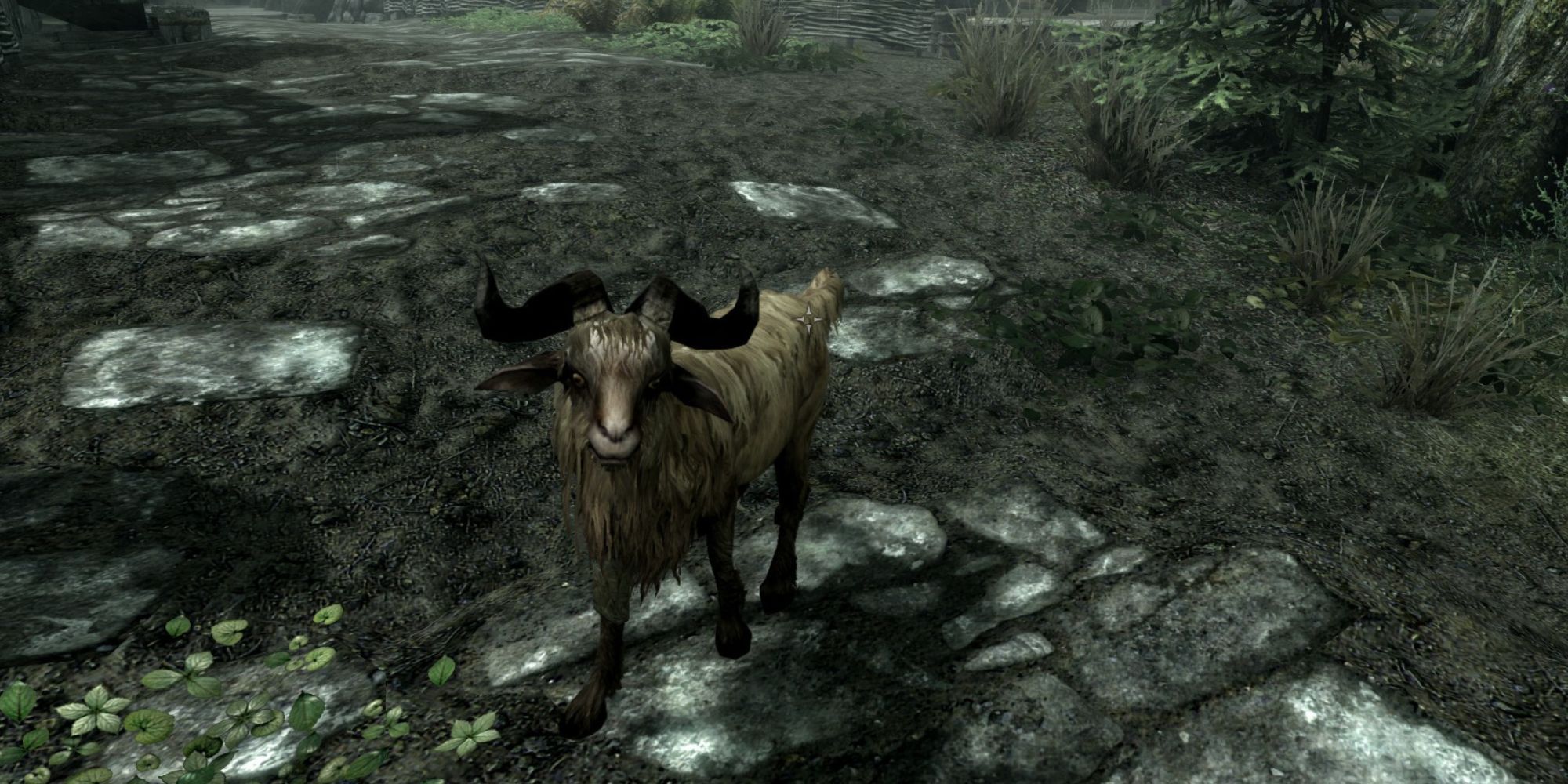 The Modest Adventures Of A Humble Nobody In Skyrim Part 1   Skyrim Falkreath Goat 