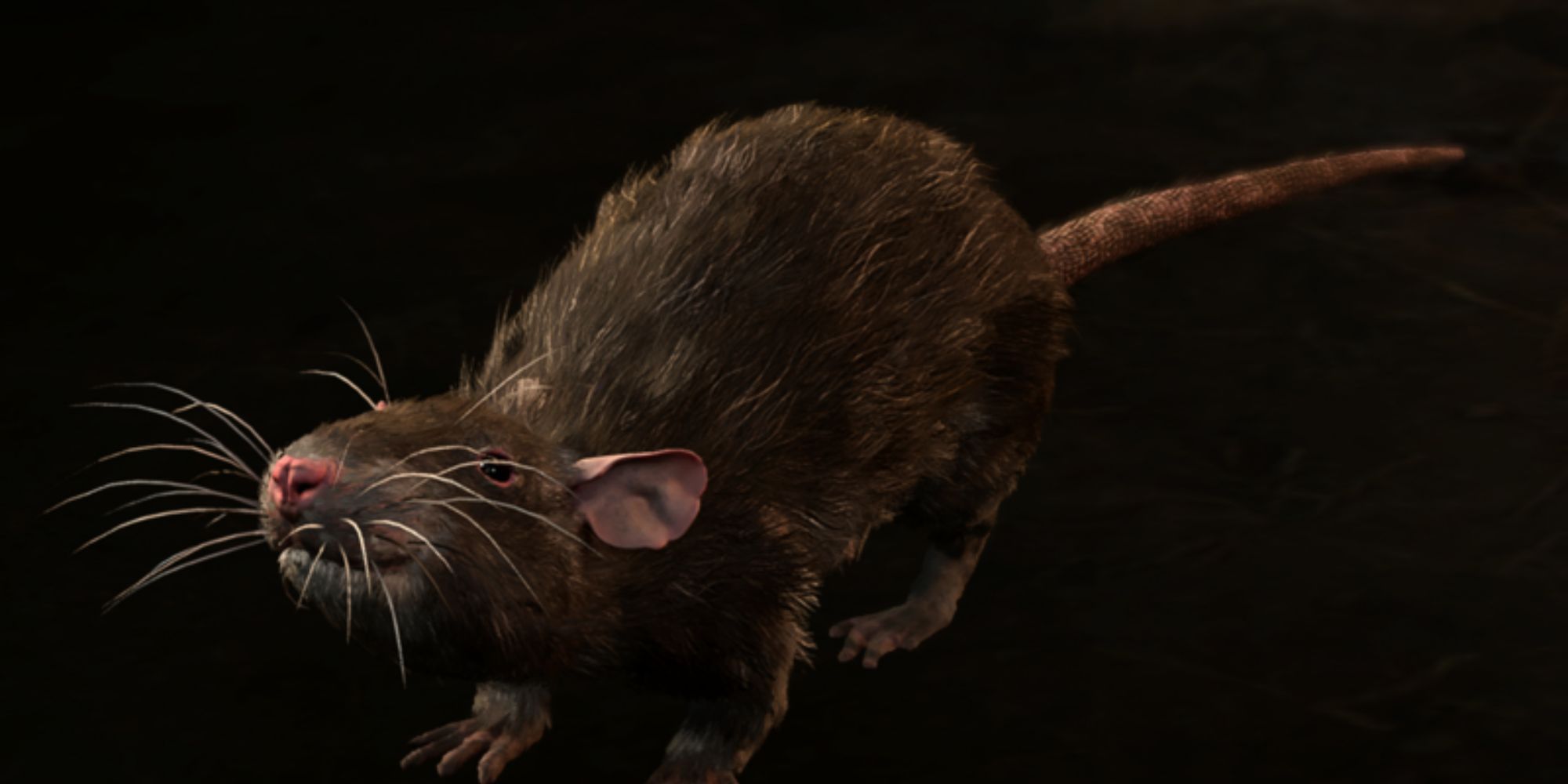 Baldur's Gate 3 - Skittle The Rat