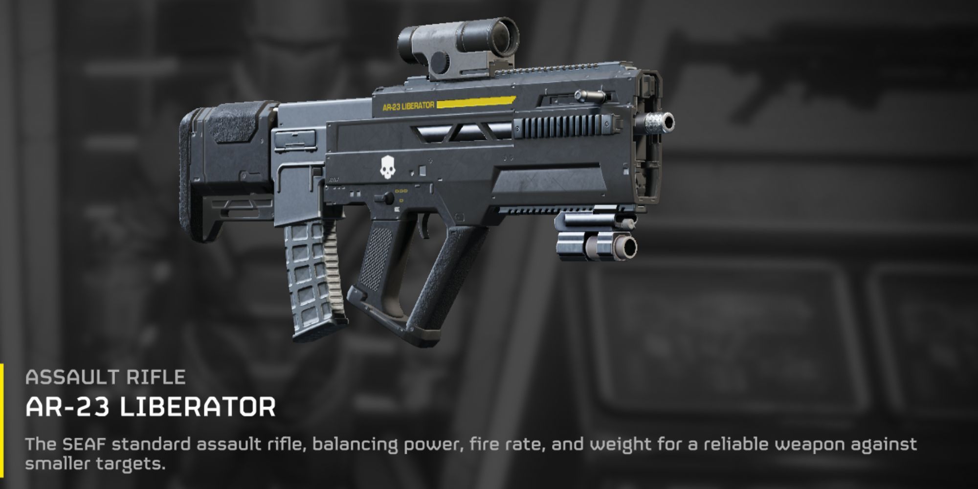 The AR-23 Liberator in a players' armory