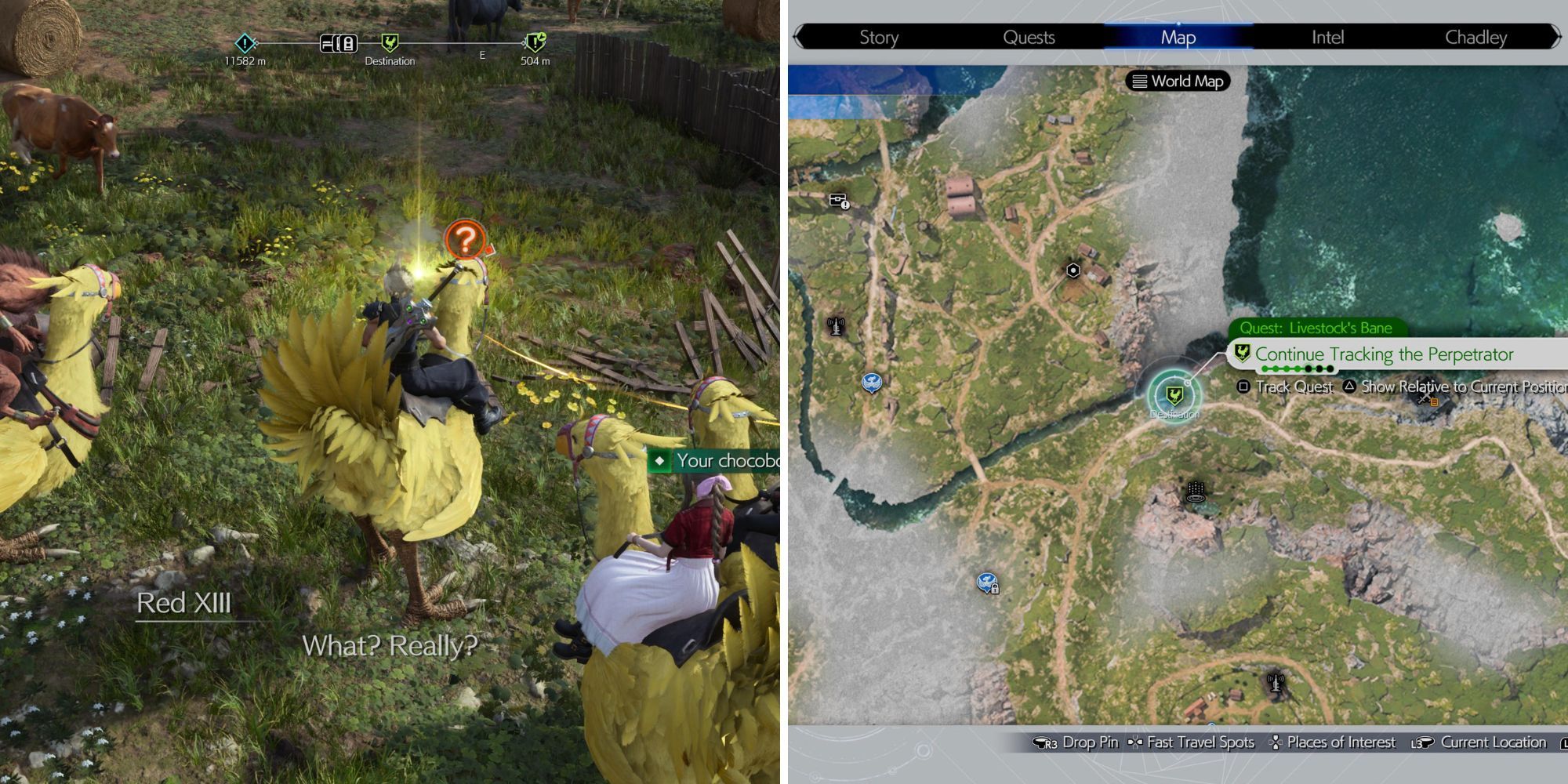 The Chocobo Tracking A Scent & The Location On The Map 