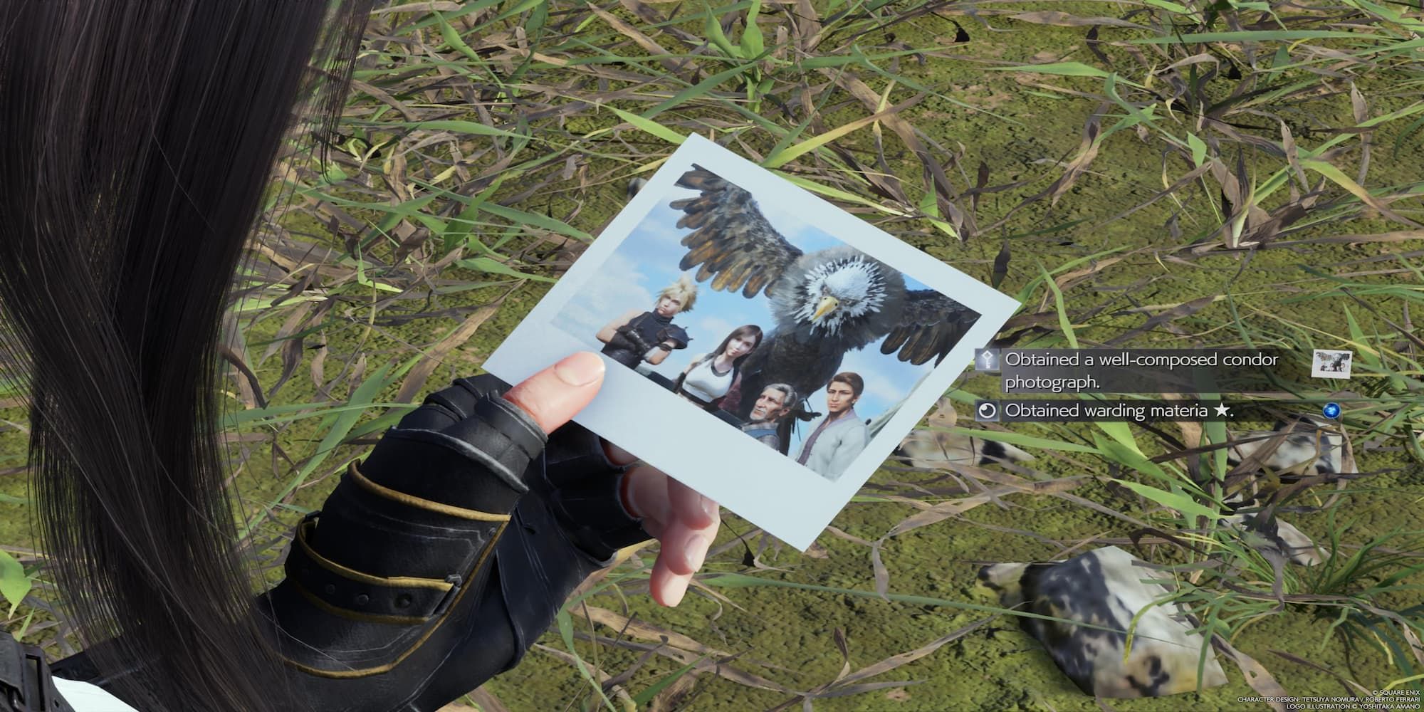 Tifa Holding A Well-Composed Condor Photograph,