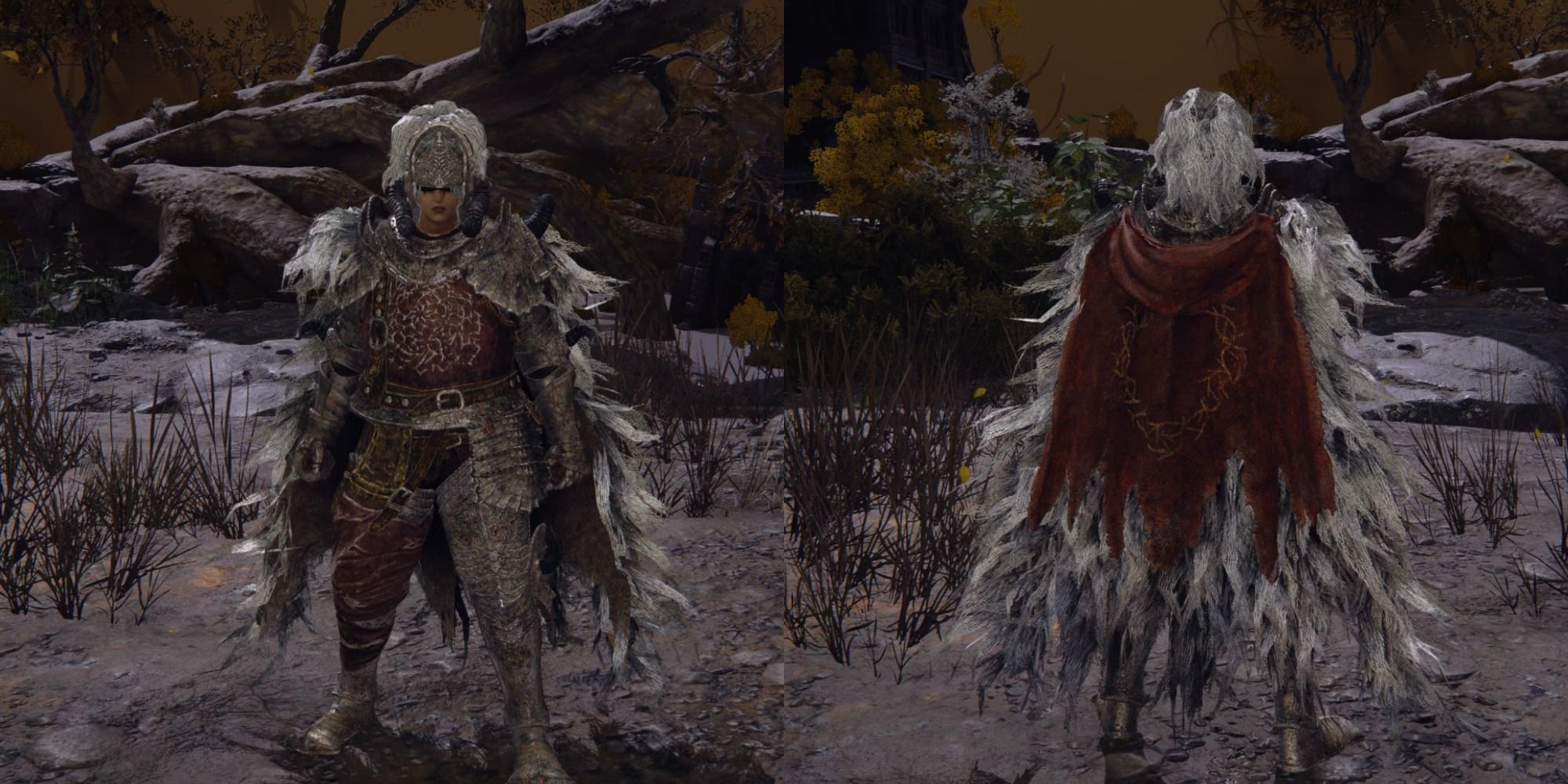Elden Ring Veteran's Armor Set Front And Back View