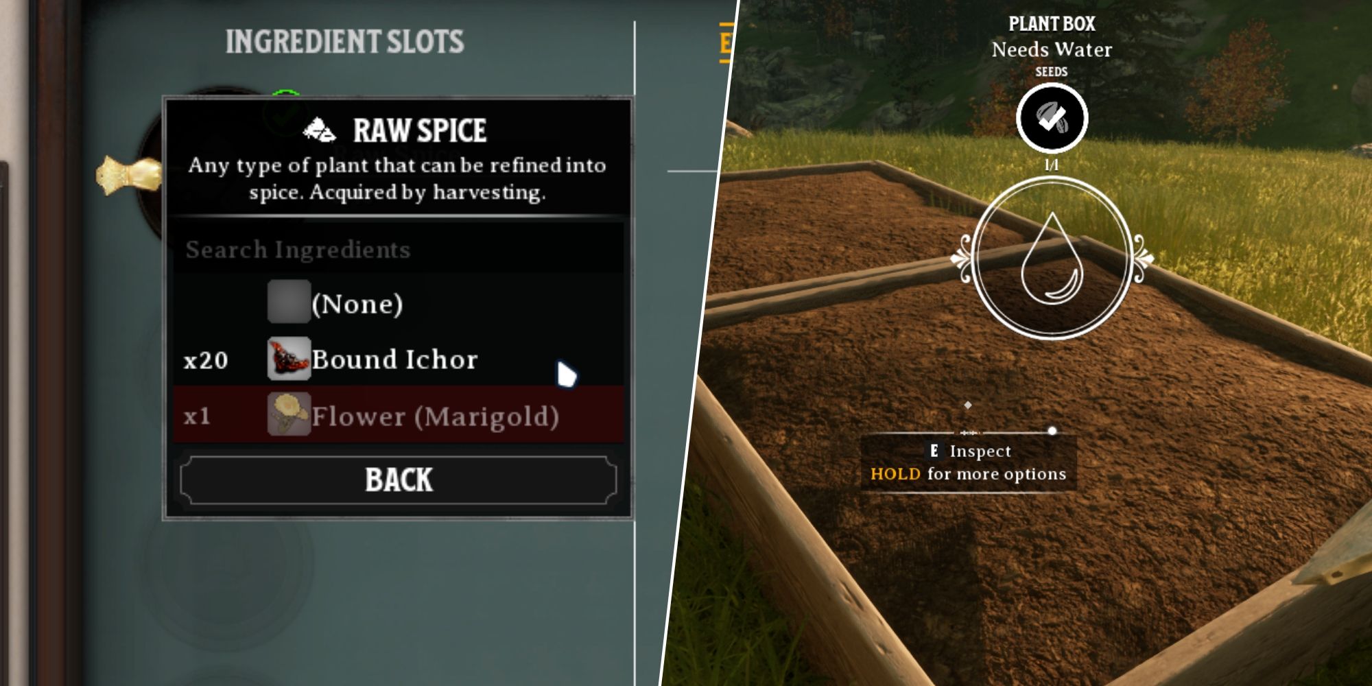 Nightingale: How To Get Spice