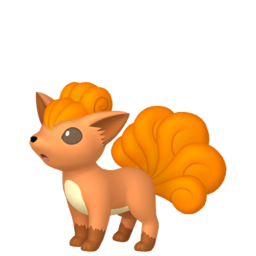 vulpix