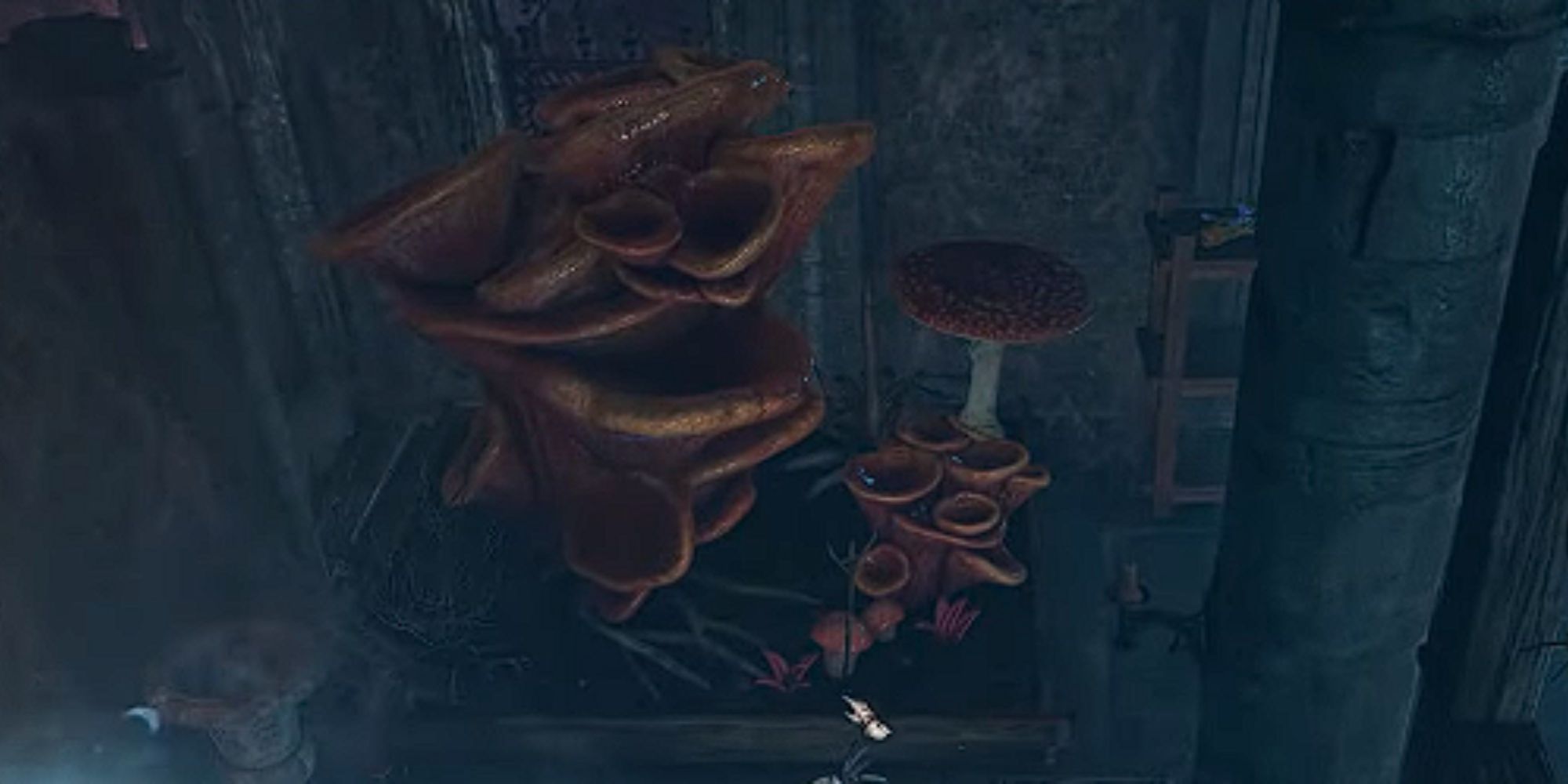 Baldur’s Gate 3: How To Get The Tongue Of Madness