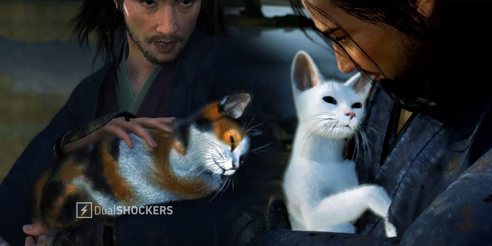 Rise of the Ronin cats