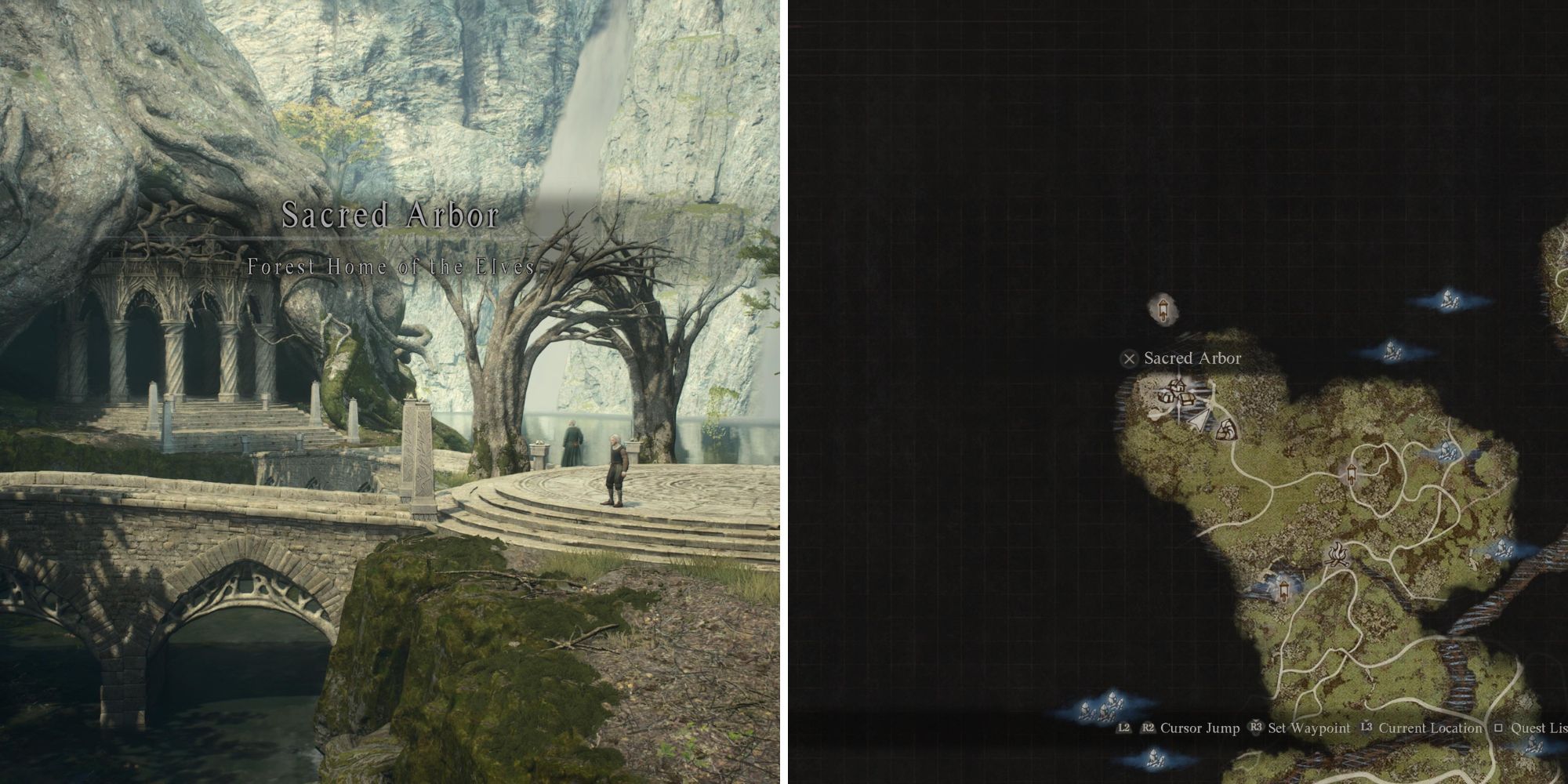 The Player Arriving At Sacred Arbor & Its Location On The Map 
