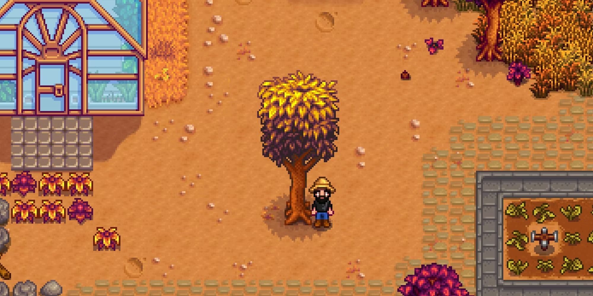 Standing By Mahogany Tree In Stardew Valley