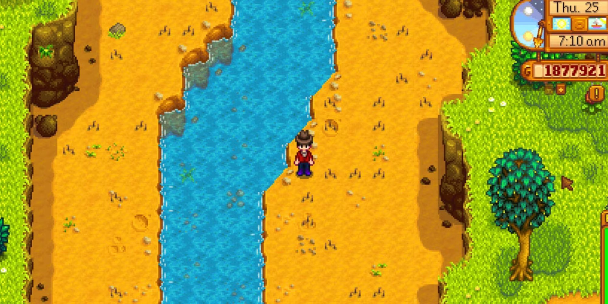 Loads of Artifact Spots in Stardew Valley