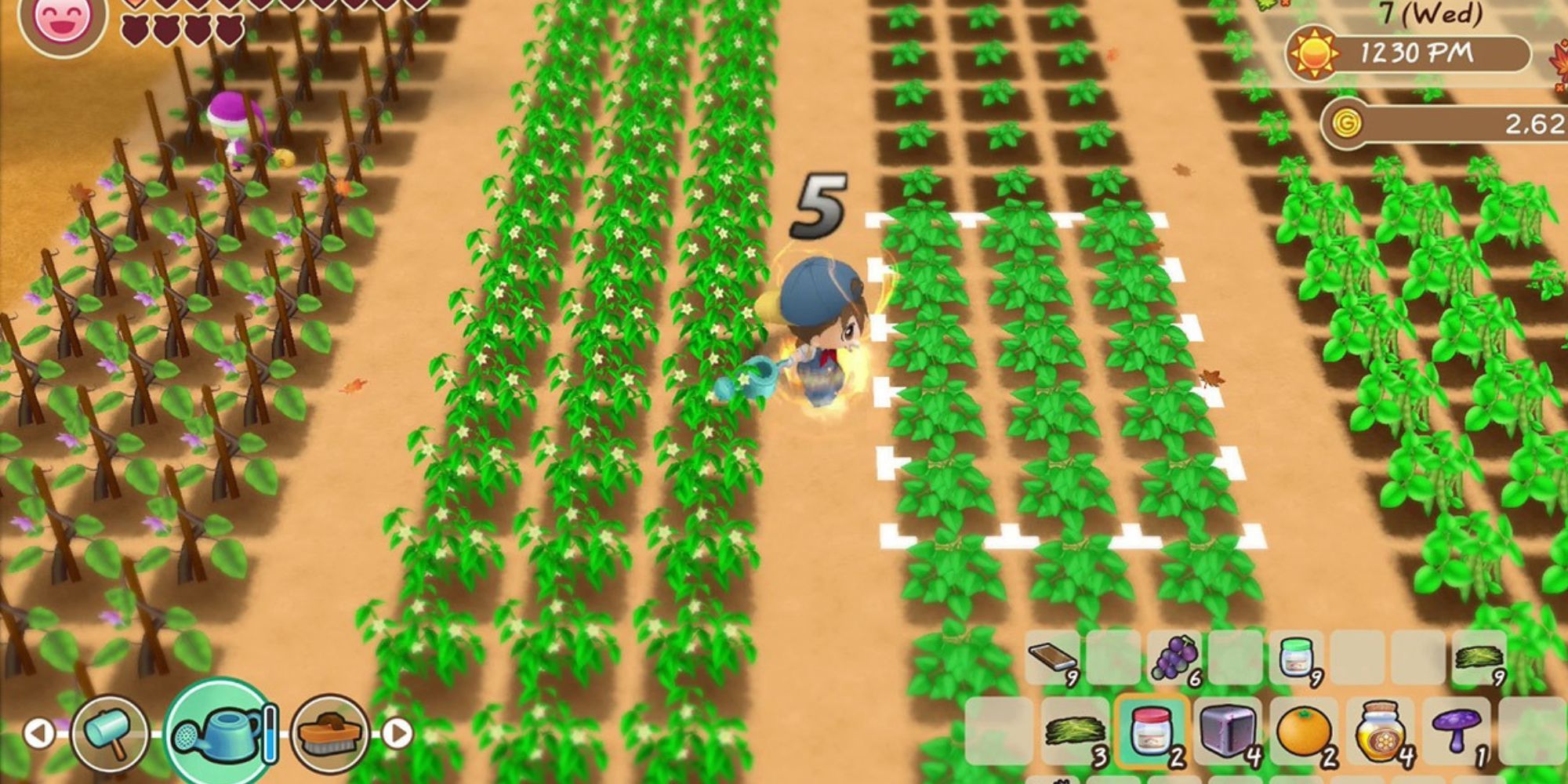 Tending To Crops In Friends of Mineral Town 