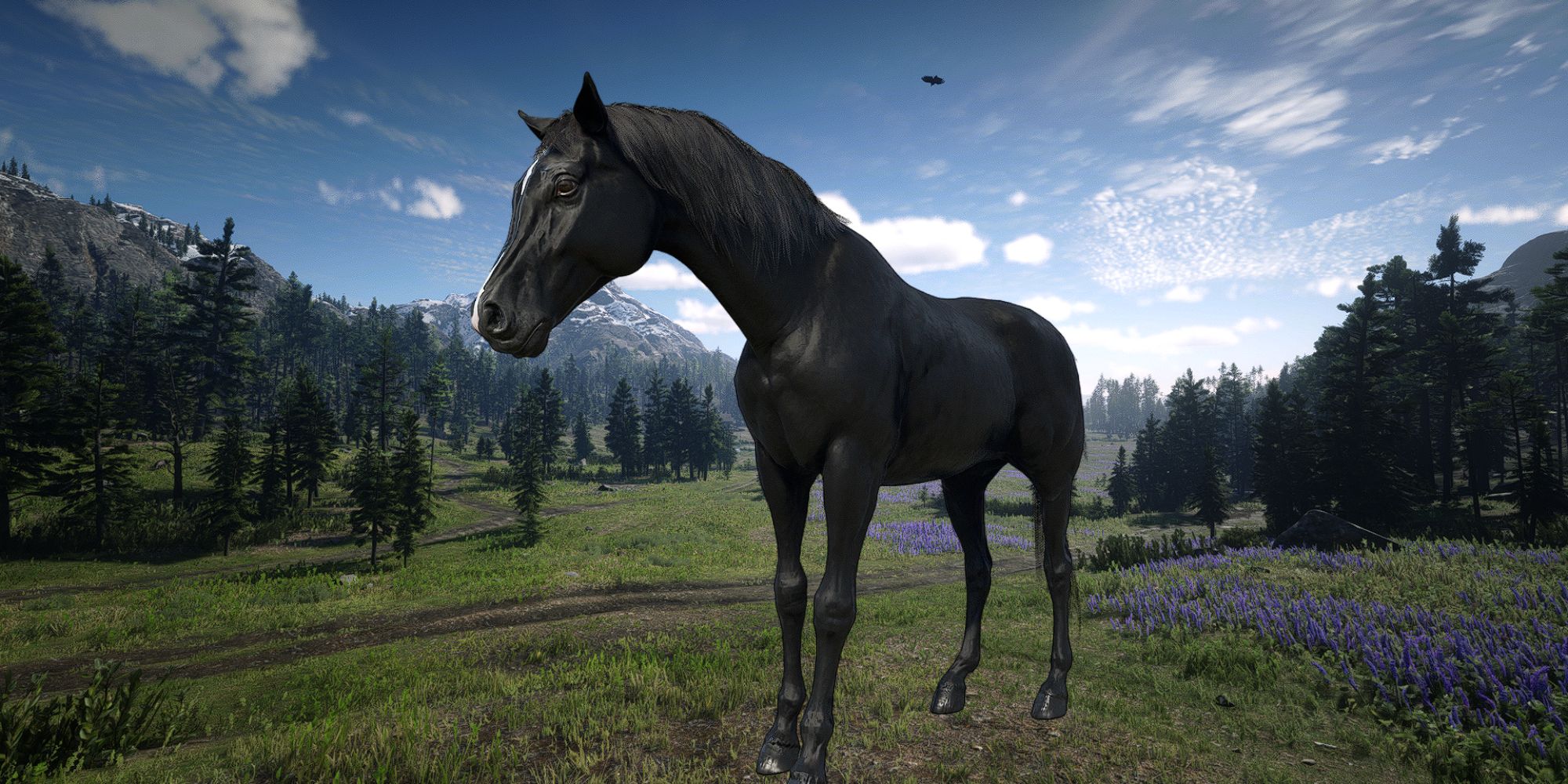 An Arabian Horse (Black coat) from Red Dead Redemption 2