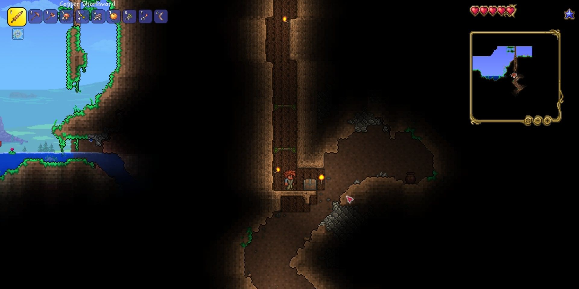 Terraria Giant Tree Chest 