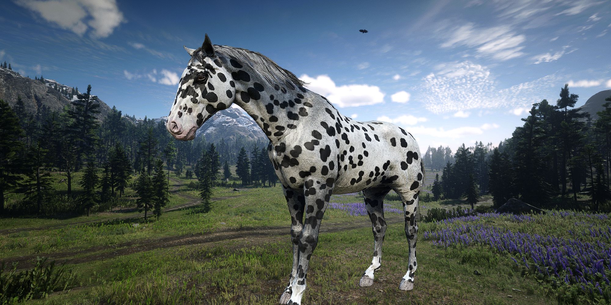 An Appaloosa Horse (Leopard coat) from Red Dead Redemption 2