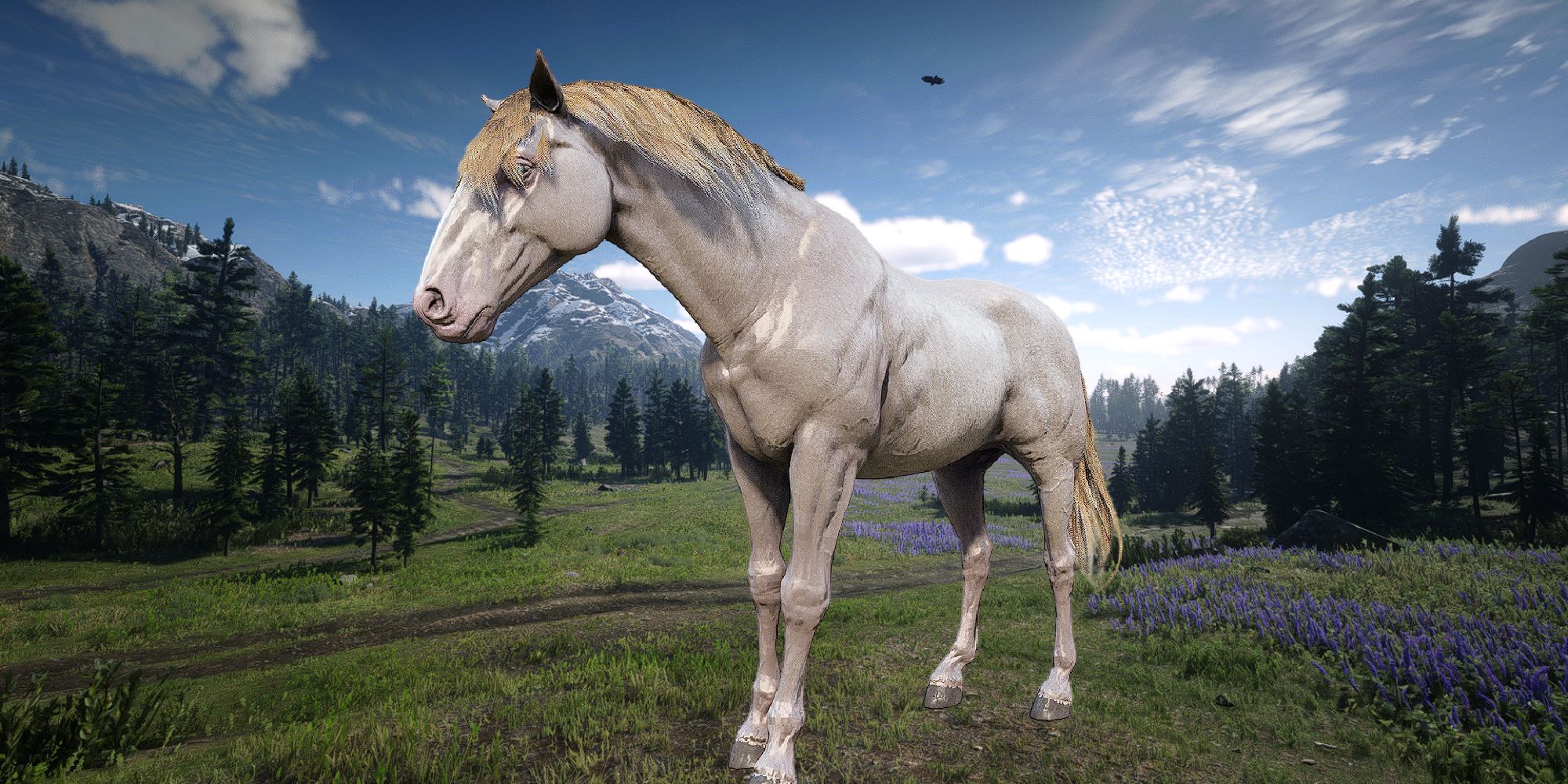 10 Best Horses In Red Dead Redemption 2