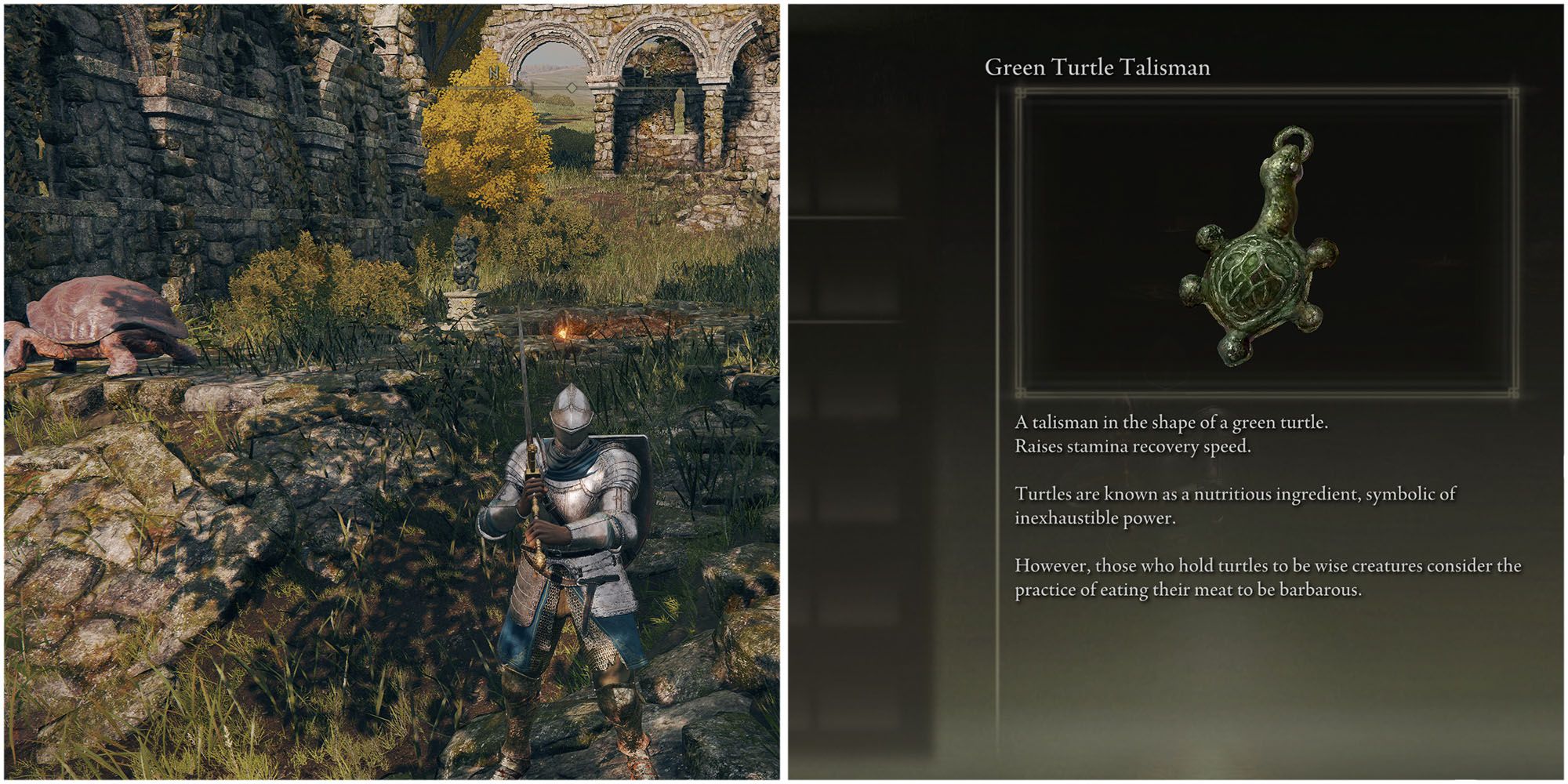 Where To Find The Green Turtle Talisman In Elden Ring