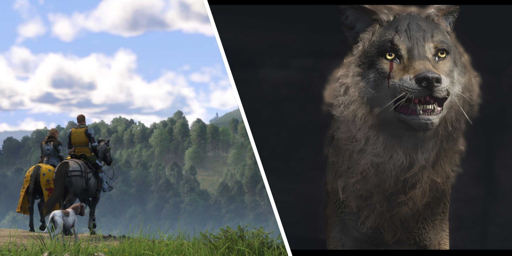 Kingdom come deliverance 2 how to find mutt