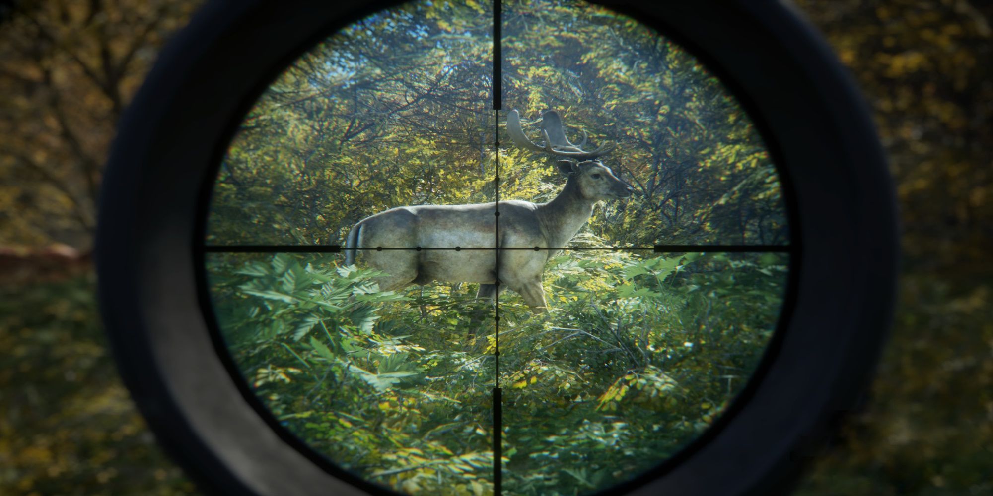 thehunter COTW-1