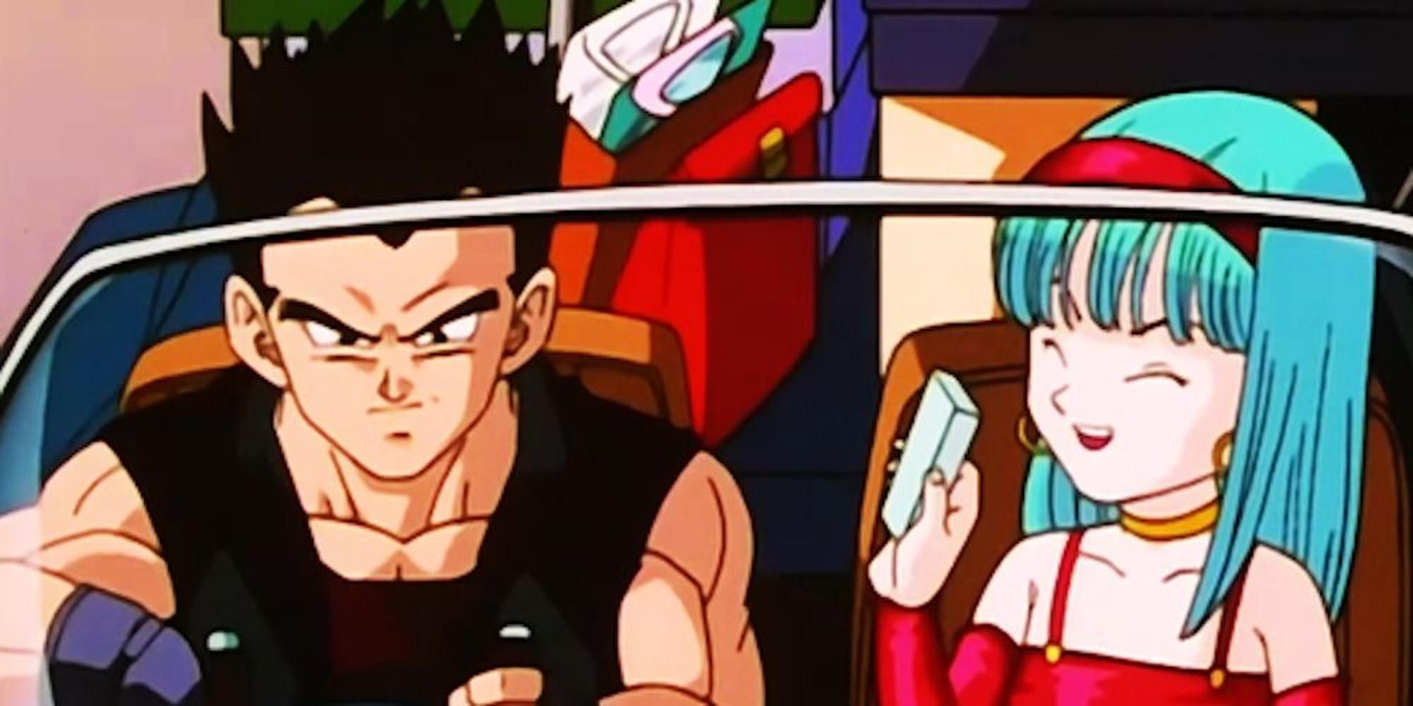 Vegeta went shopping with bulma