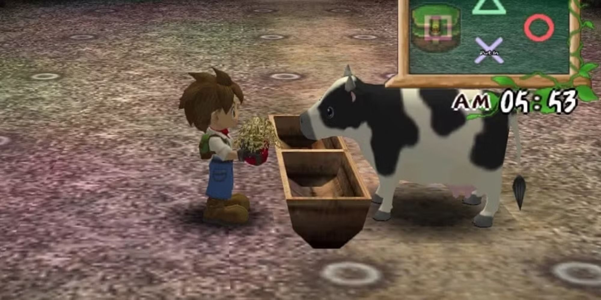 The player feeds hay to a cow in Harvest Moon: A Wonderful Life.