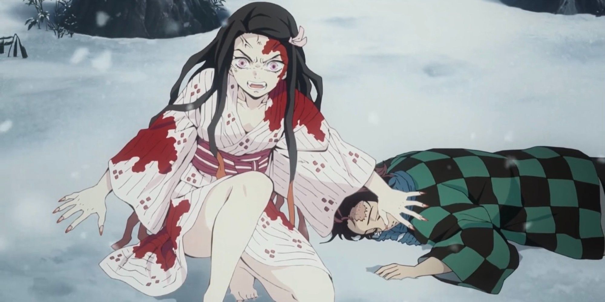 Tanjiro and Nezuko from Demon Slayer