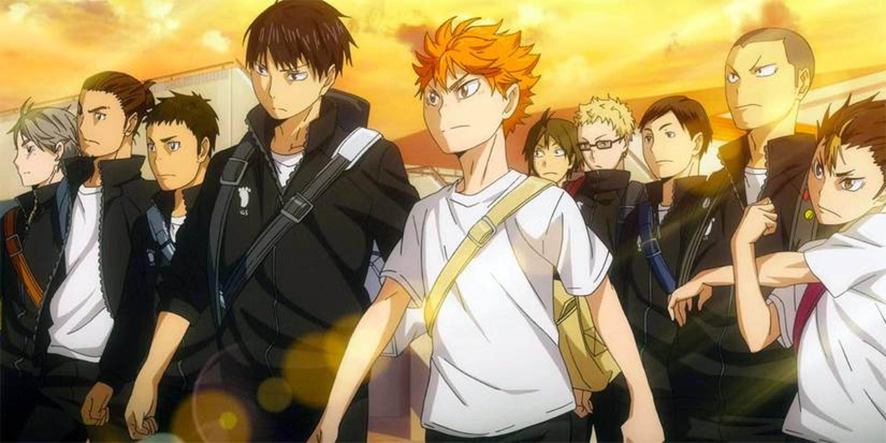 Team Karasuno Haikyuu!! anime