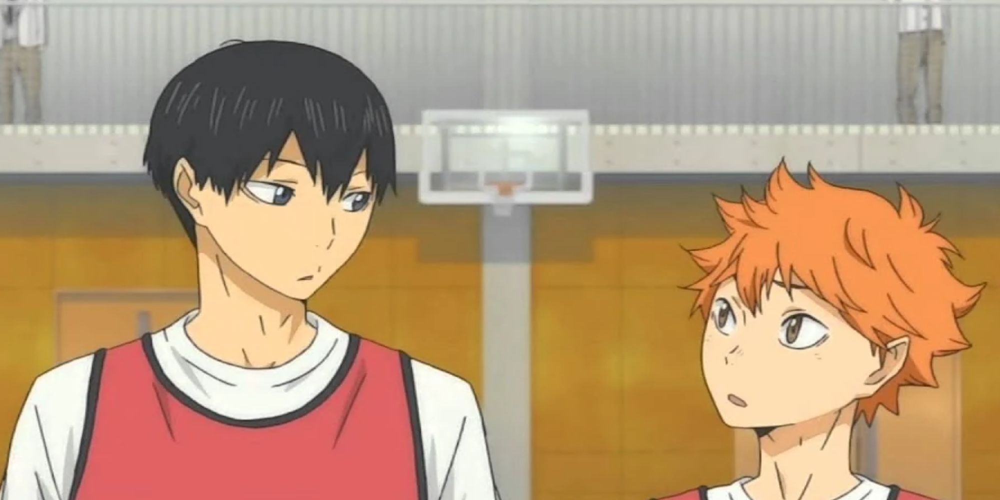 hinata and kageyama from Haikyu!!