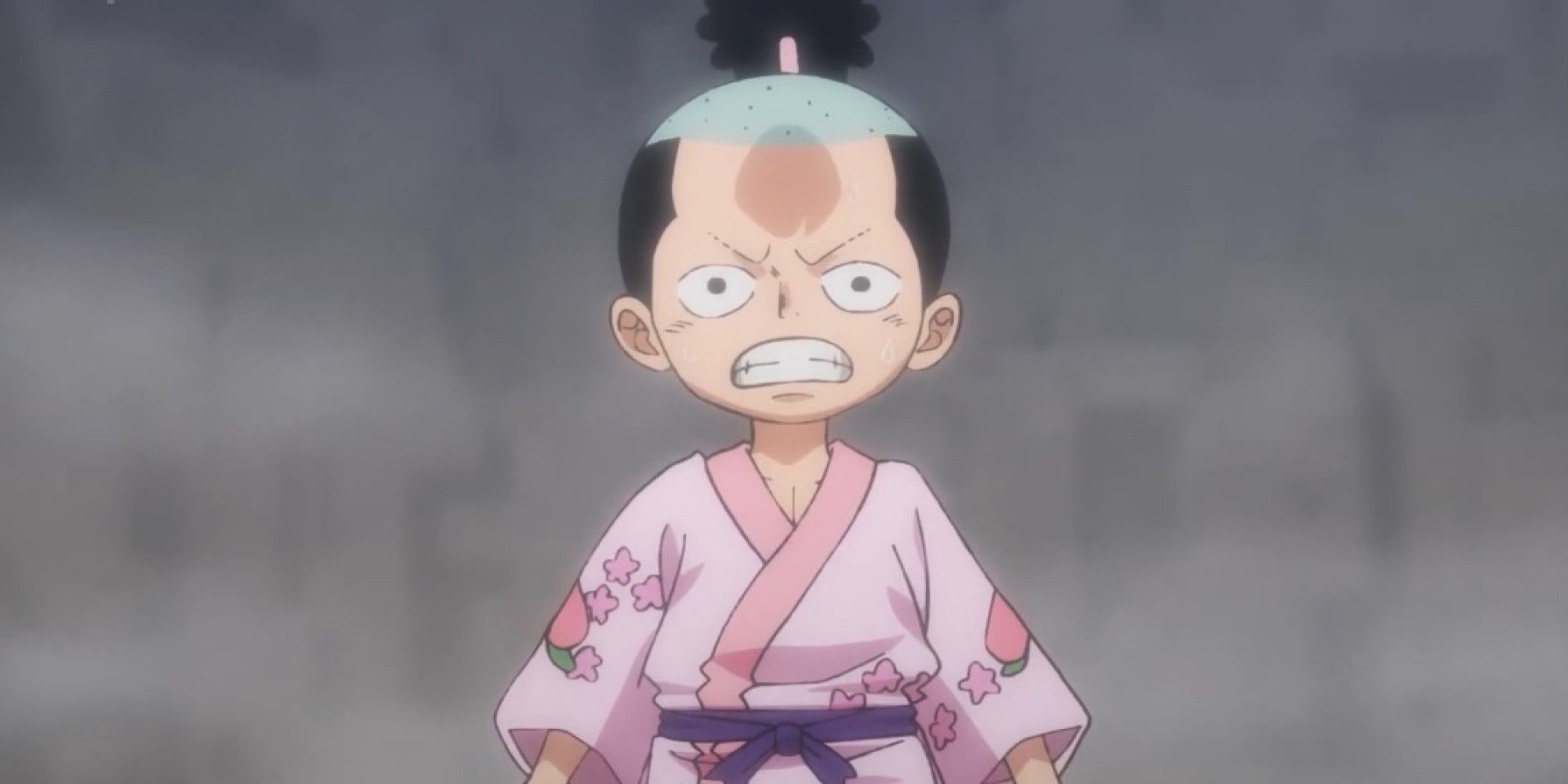 Momonosuke From One Piece