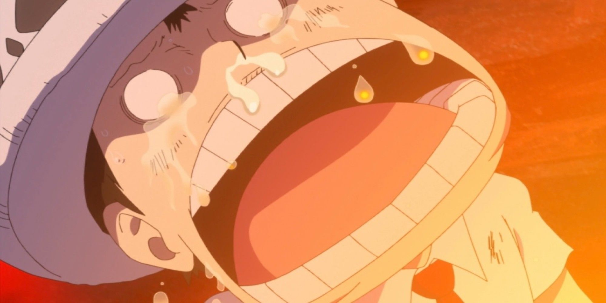 Trafagal Law Cry For Corazon In One Piece
