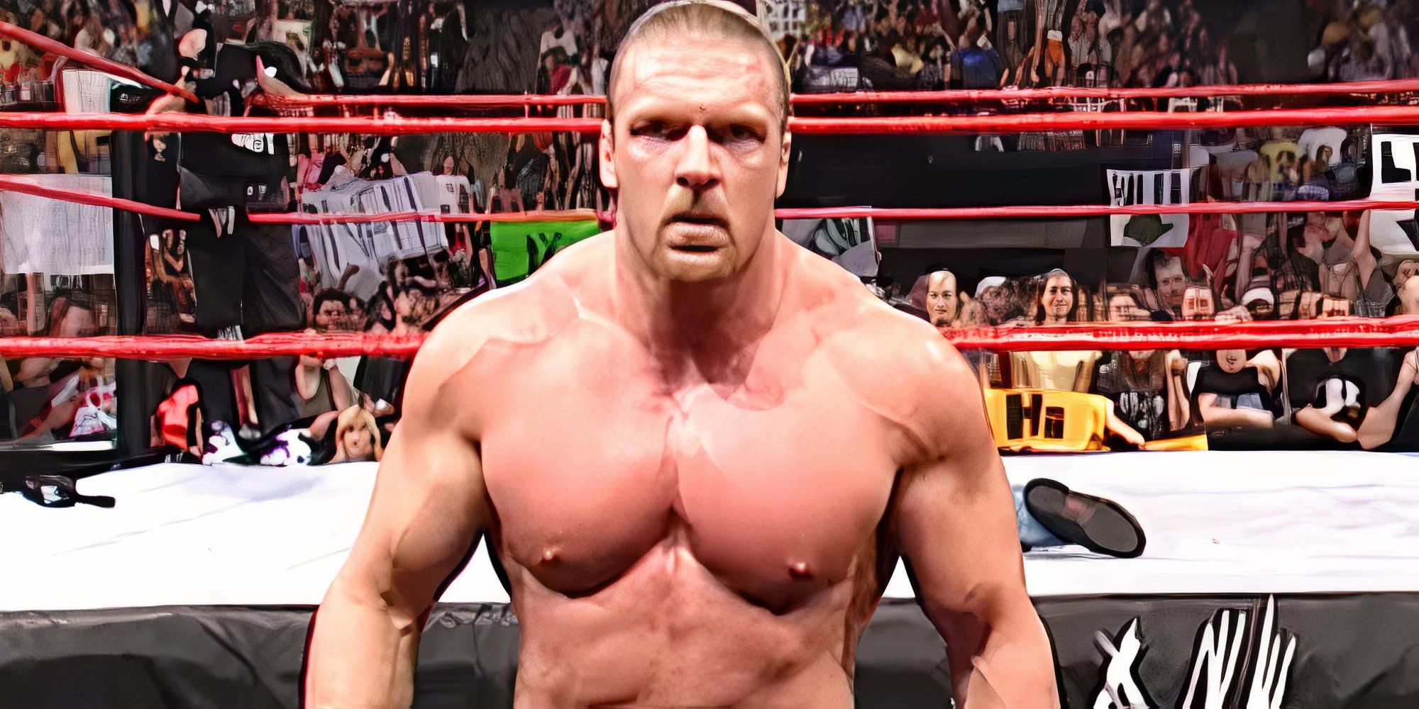 トリプルHがショーン・マイケルズを攻撃した後、WWE RAWアリーナから出て行く。