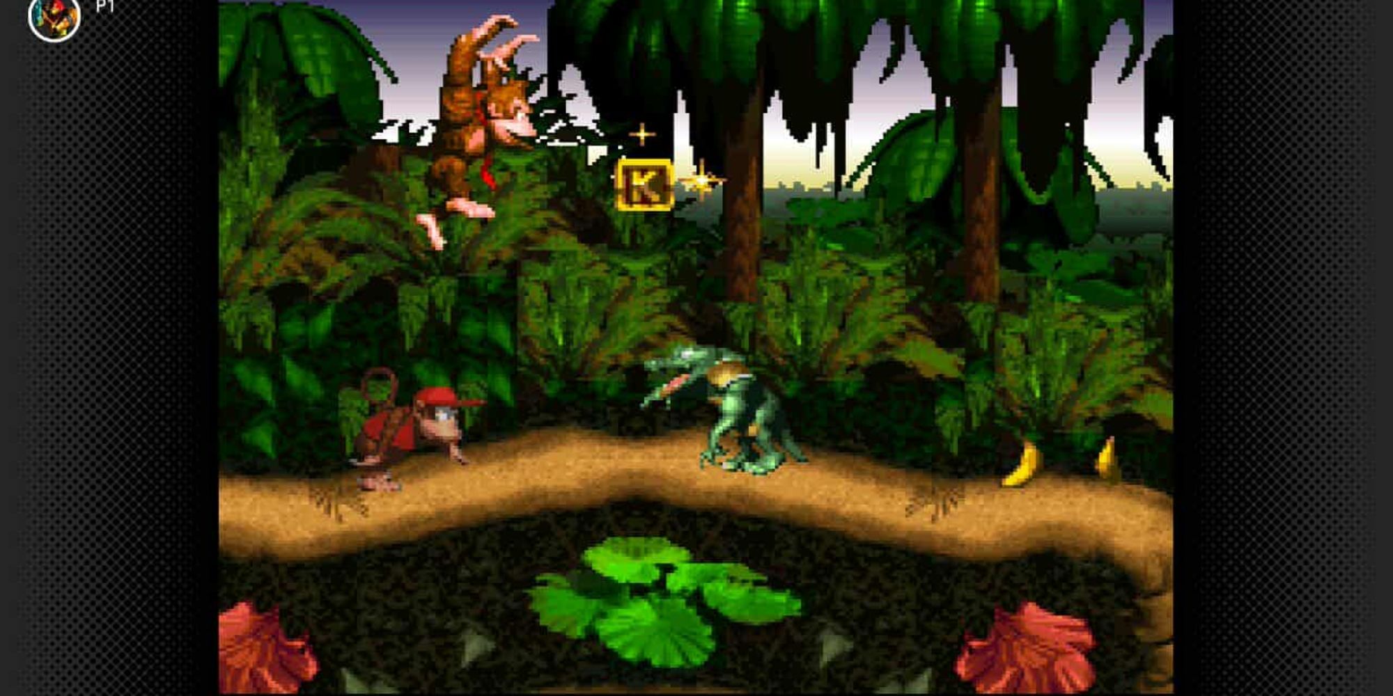 Donkey Kong Country Switch Online