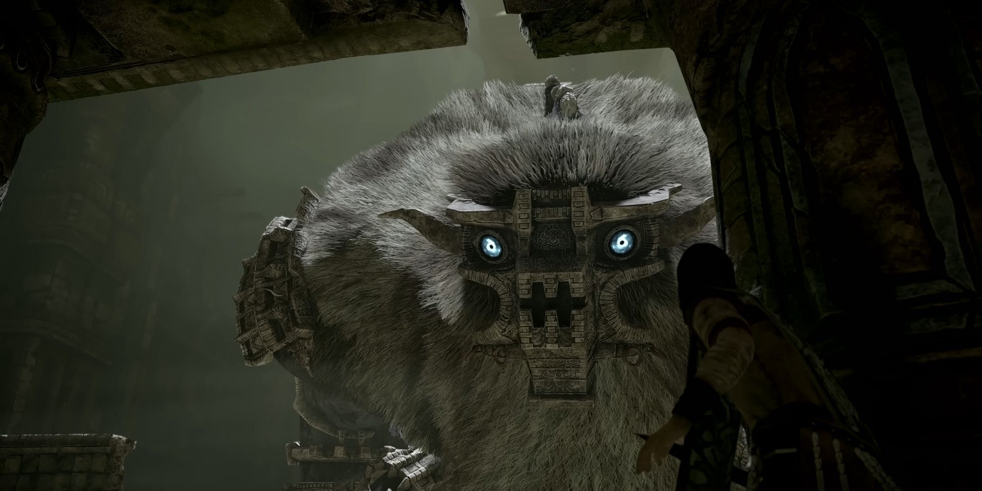 Shadow of the Colossus Barba