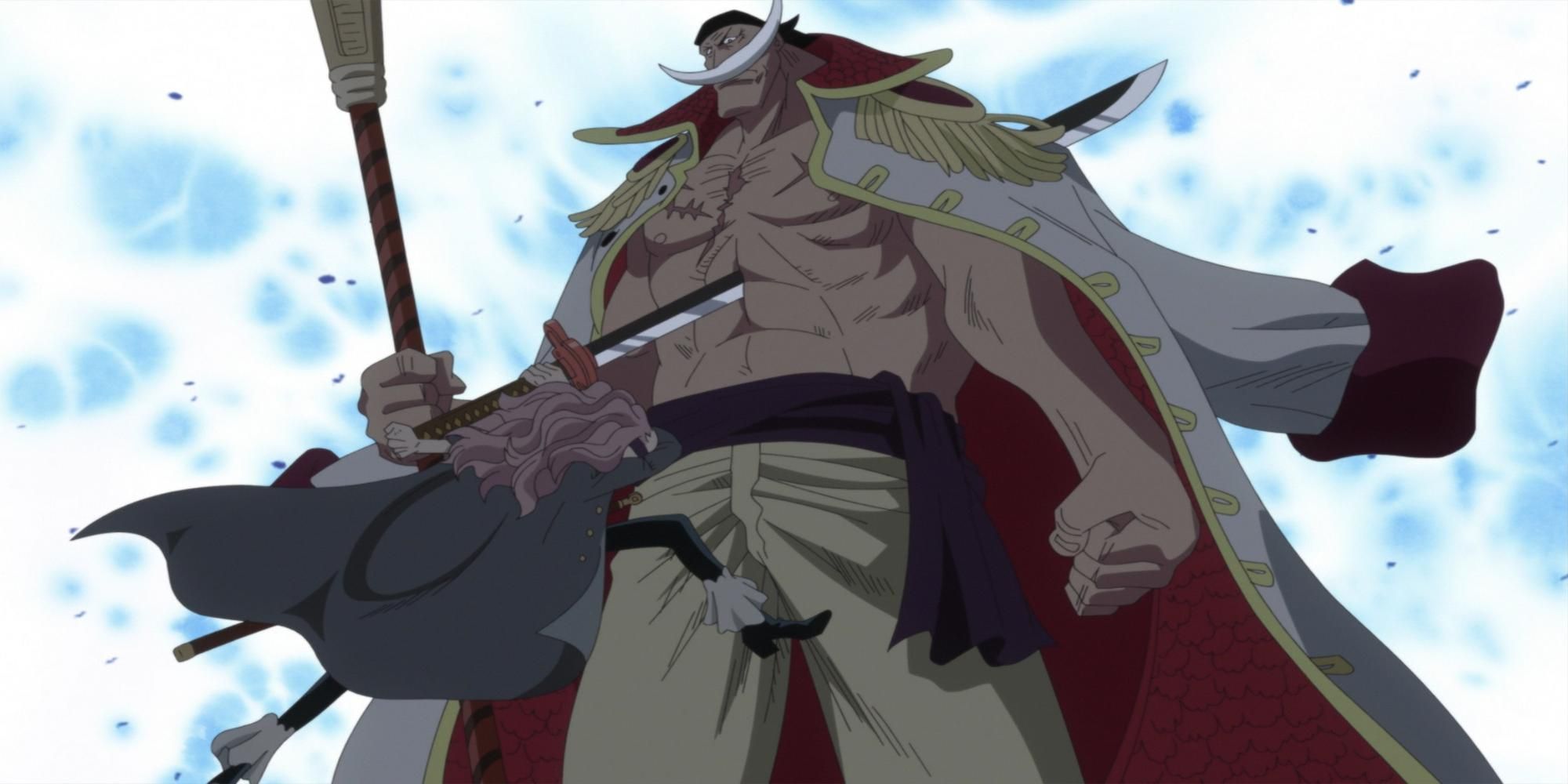 Squard Stabs Whitebeard After Being Tricked