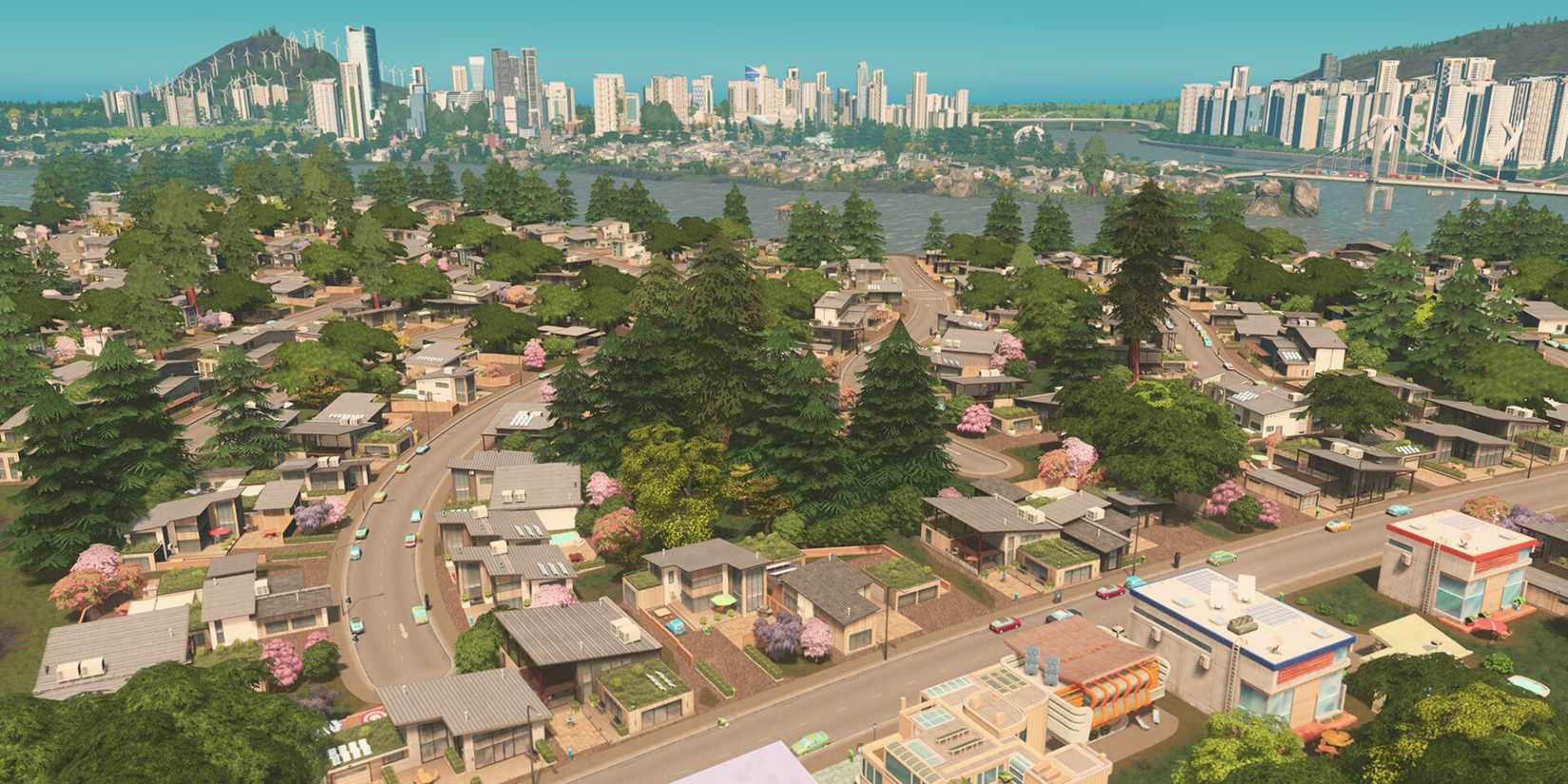 Cities Skylines