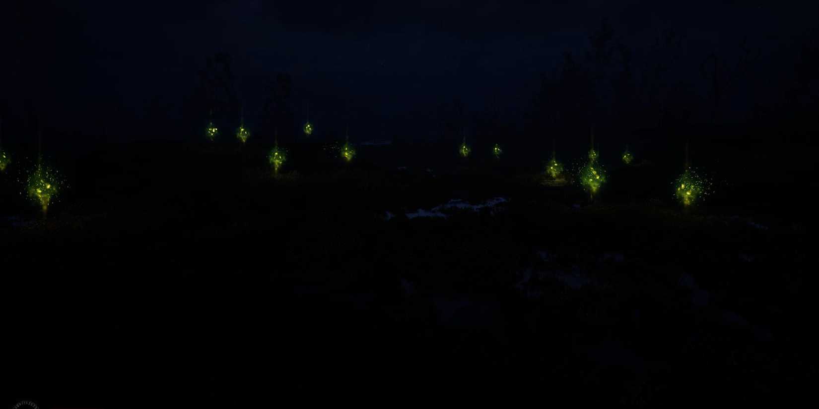 Stalker 2 luces errantes